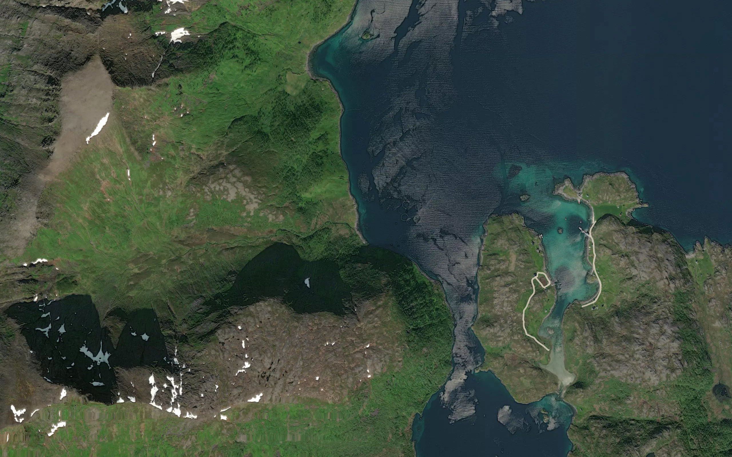 Kobbebukta