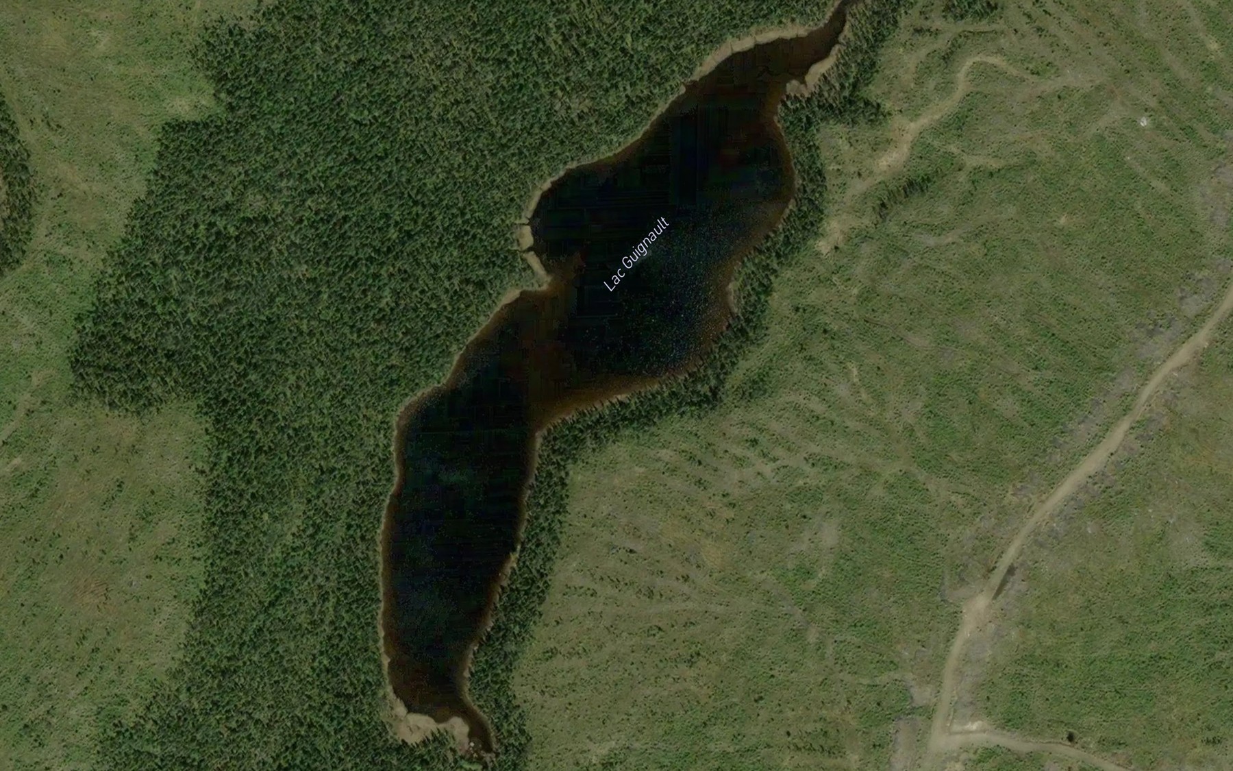 Satellite map of the Lac Guignault