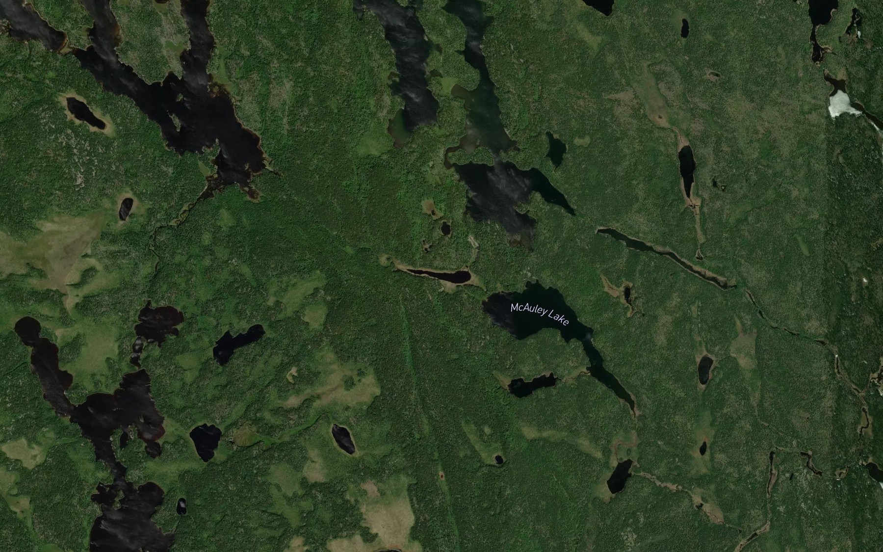 Satellite map of the Sliver Lake