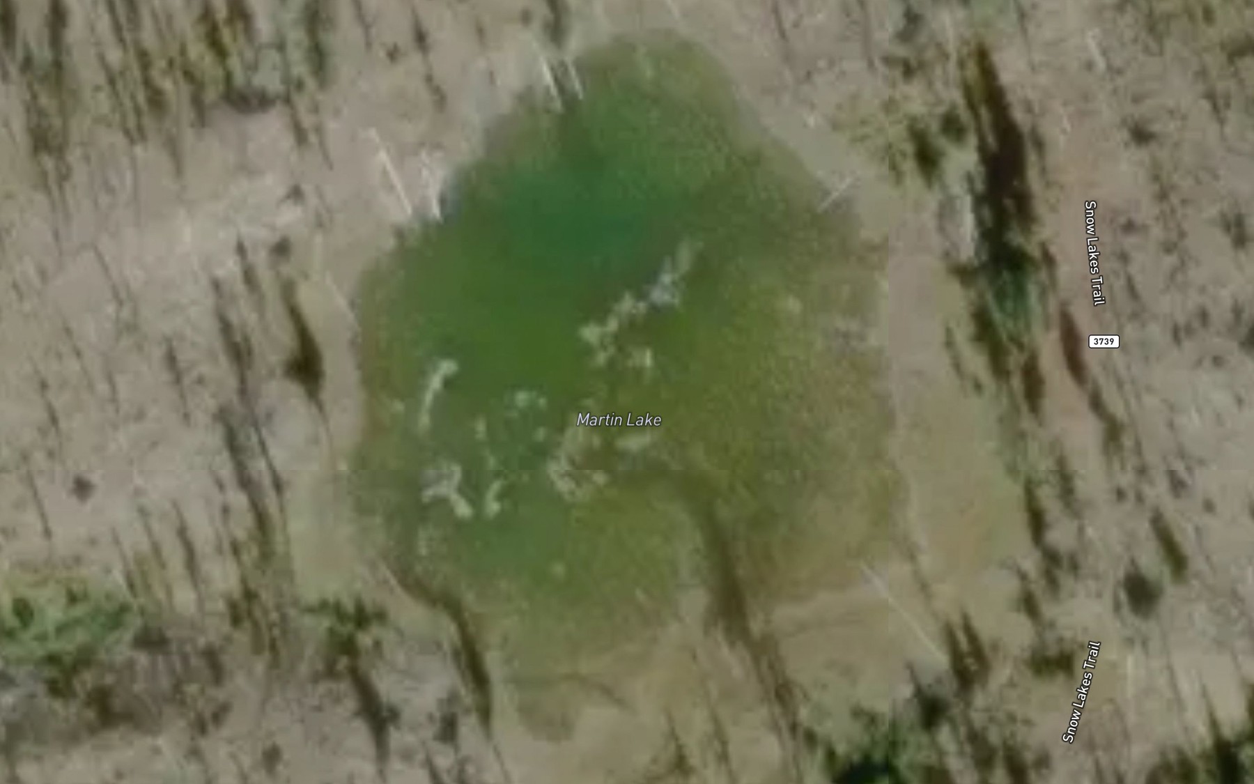 Satellite map of the Martin Lake