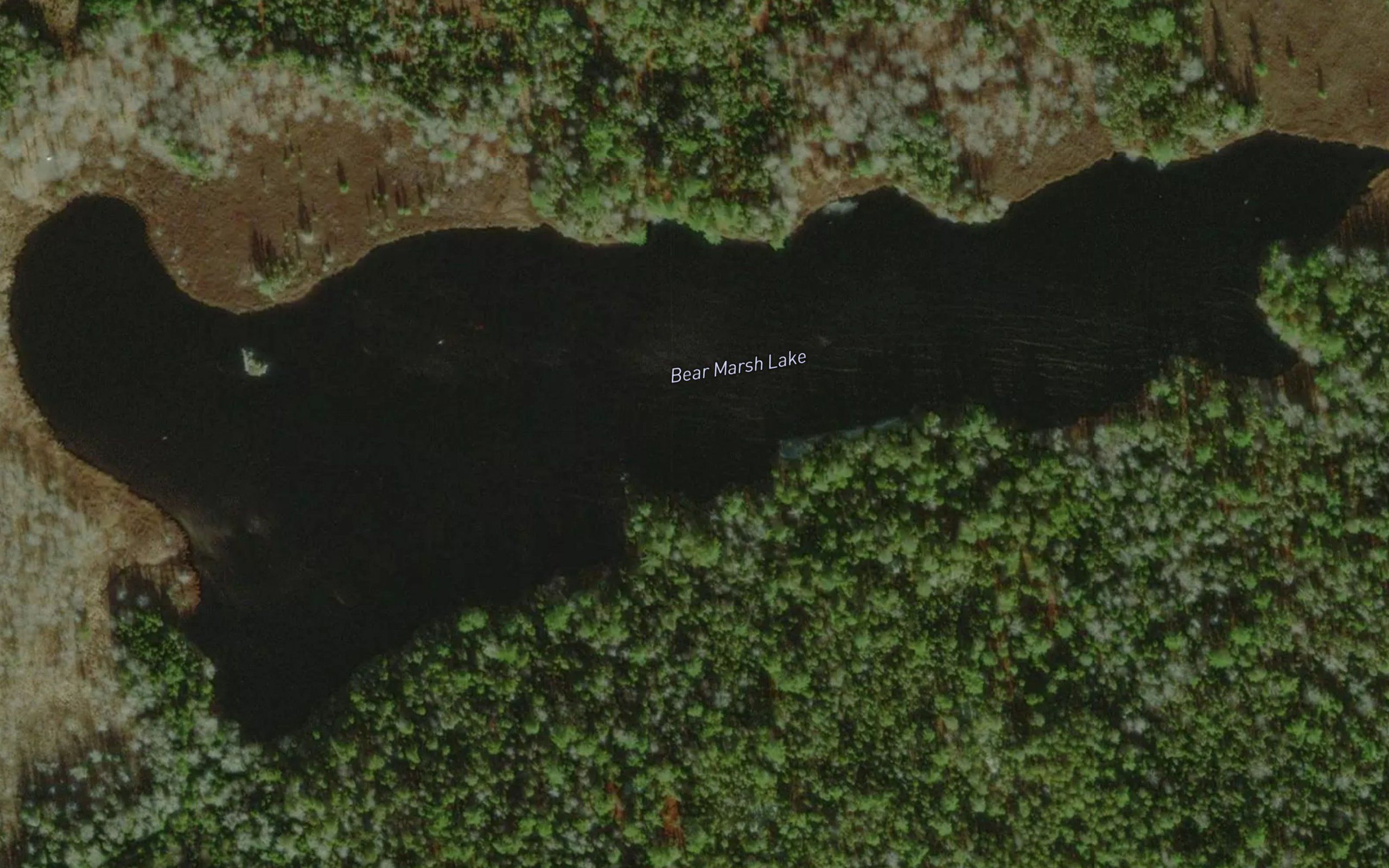 Bear Marsh Lake