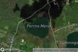 Perrins Marsh