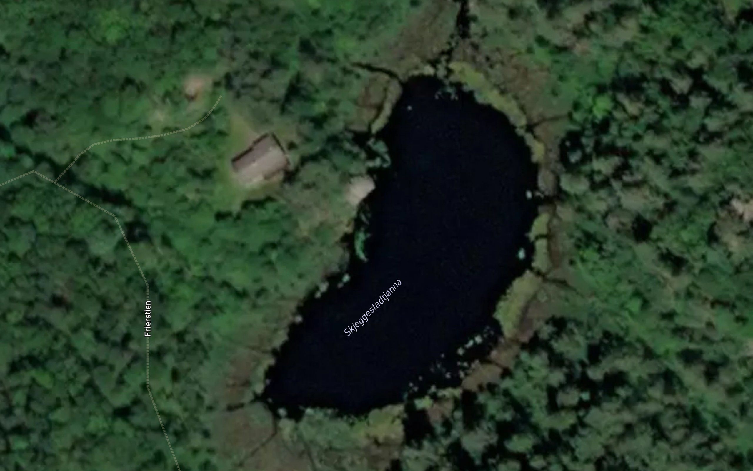Skjeggestadtjonna
