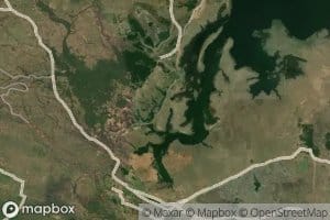 Kiriwe Aru