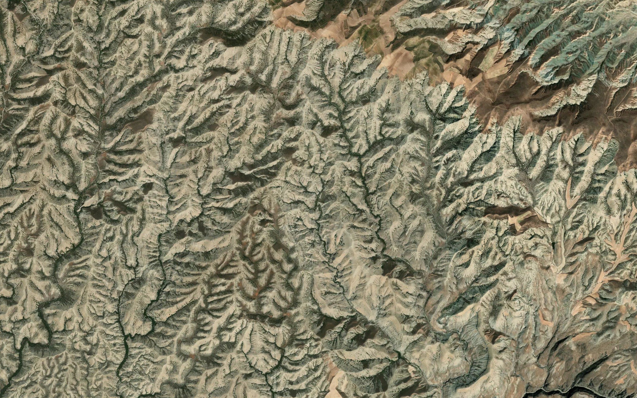 Tigheh Tavus