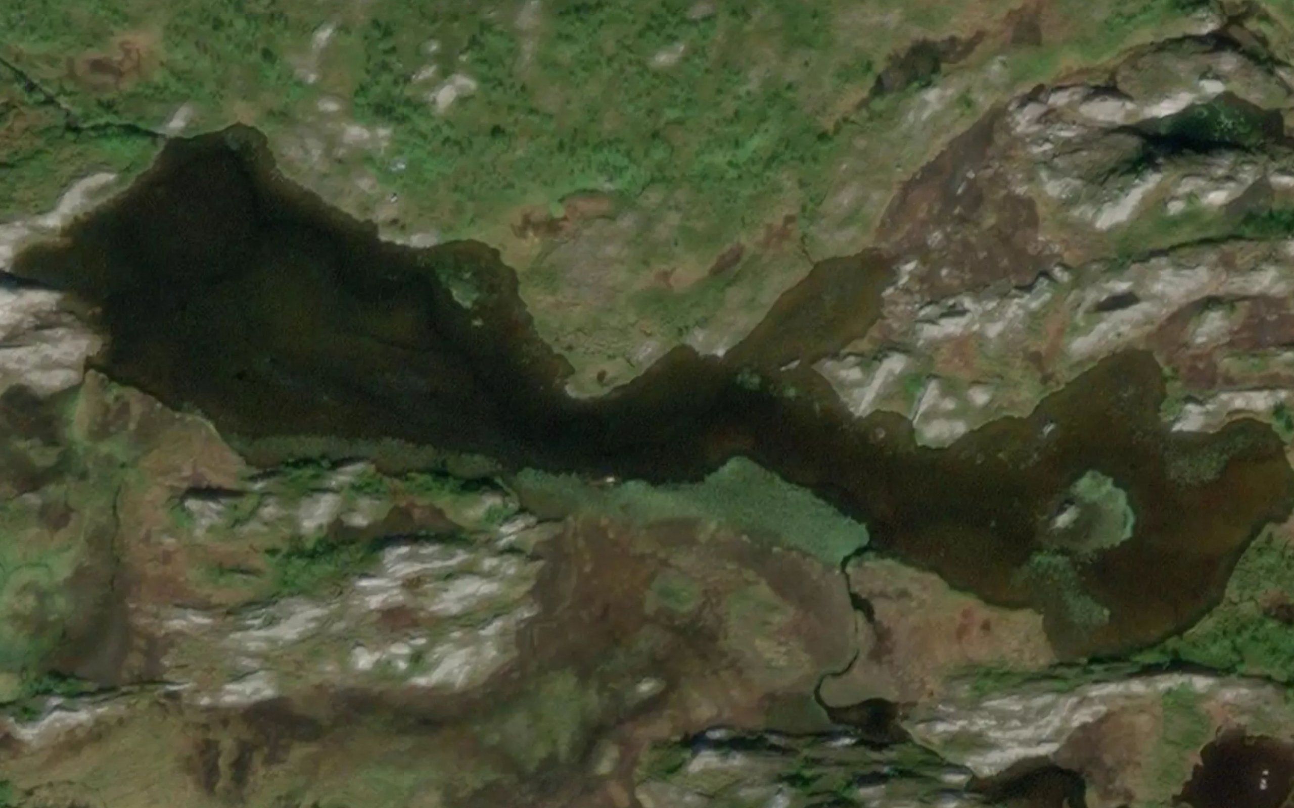 Flekenketjorn