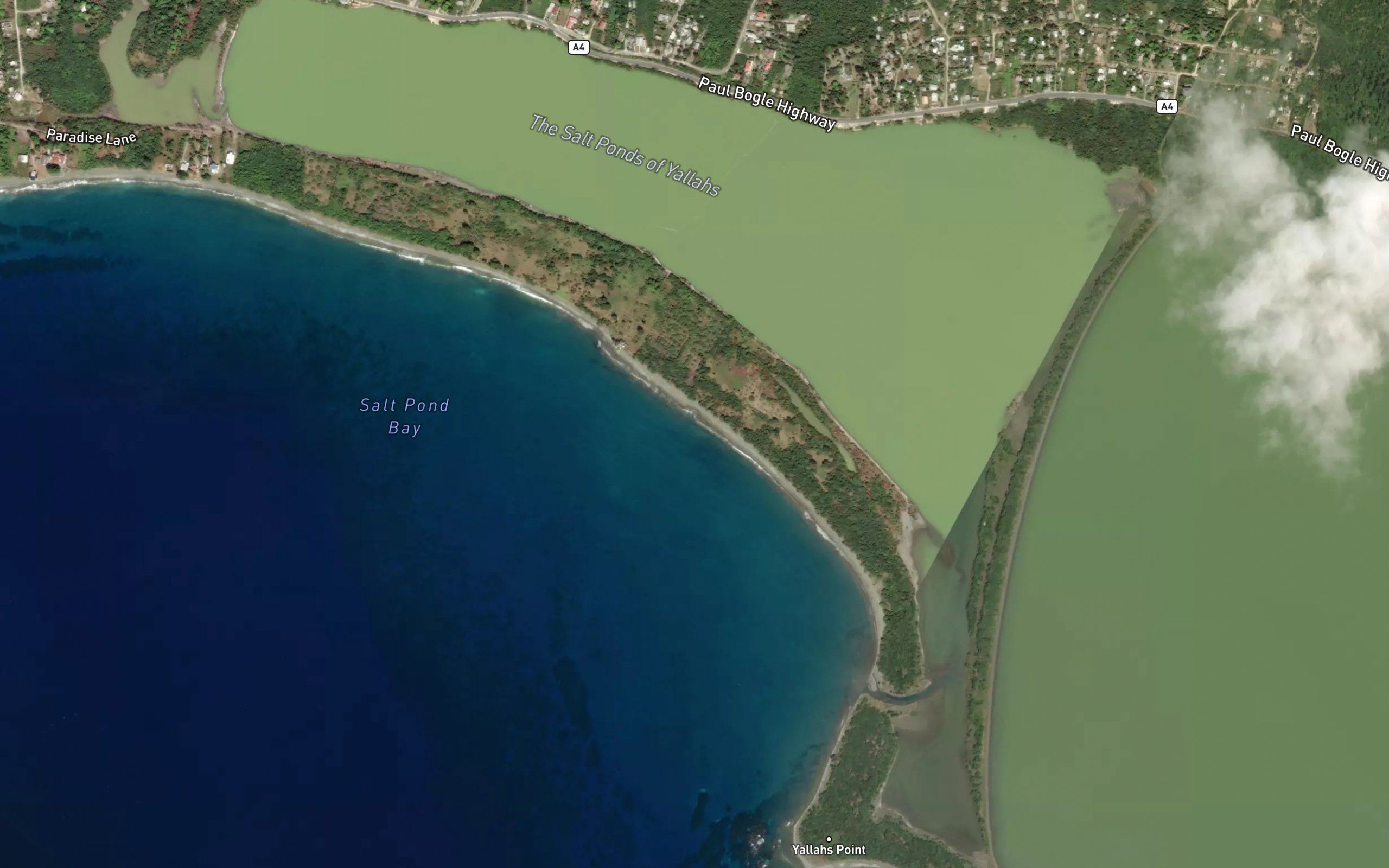 Little Salt Pond