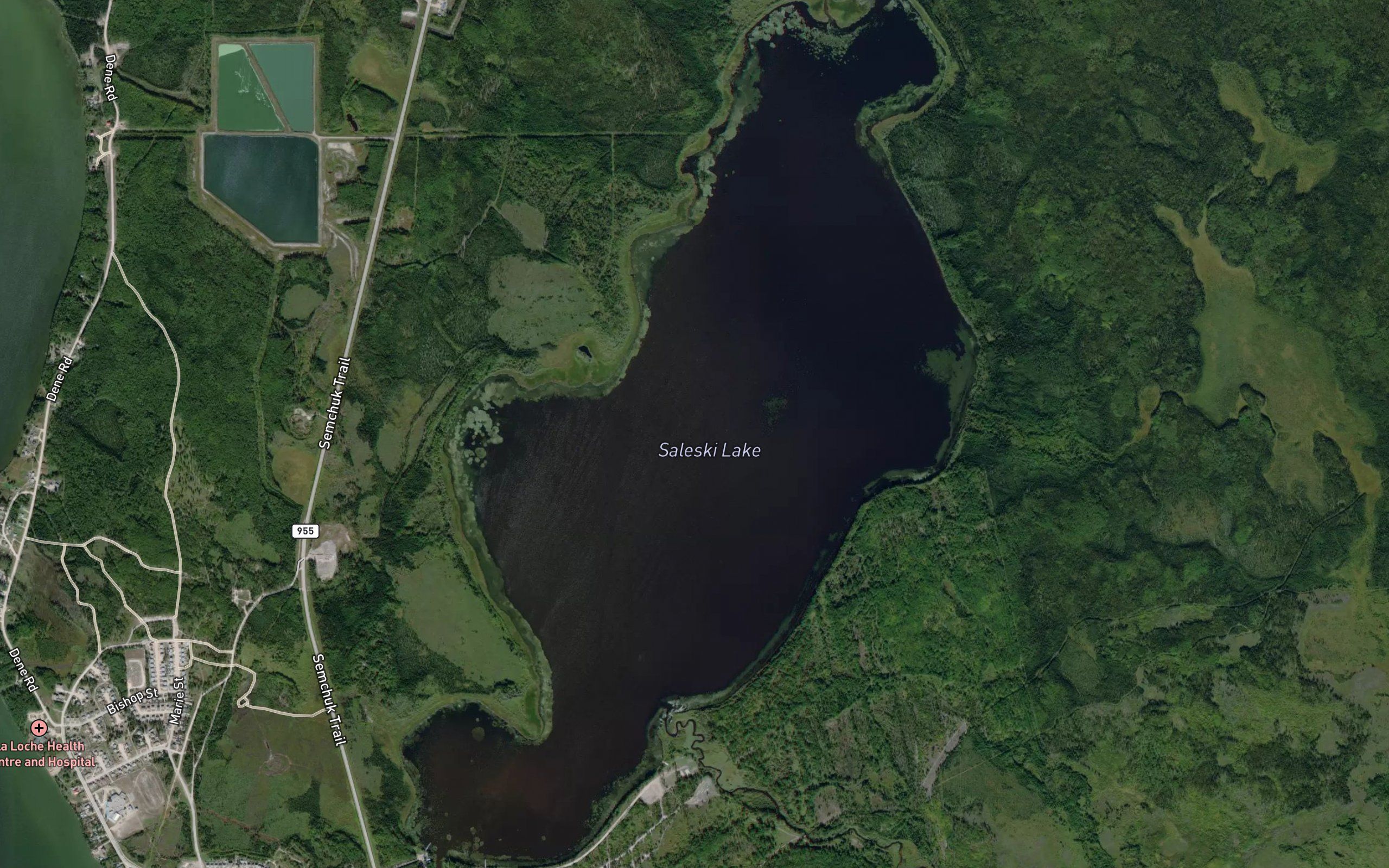 Saleski Lake
