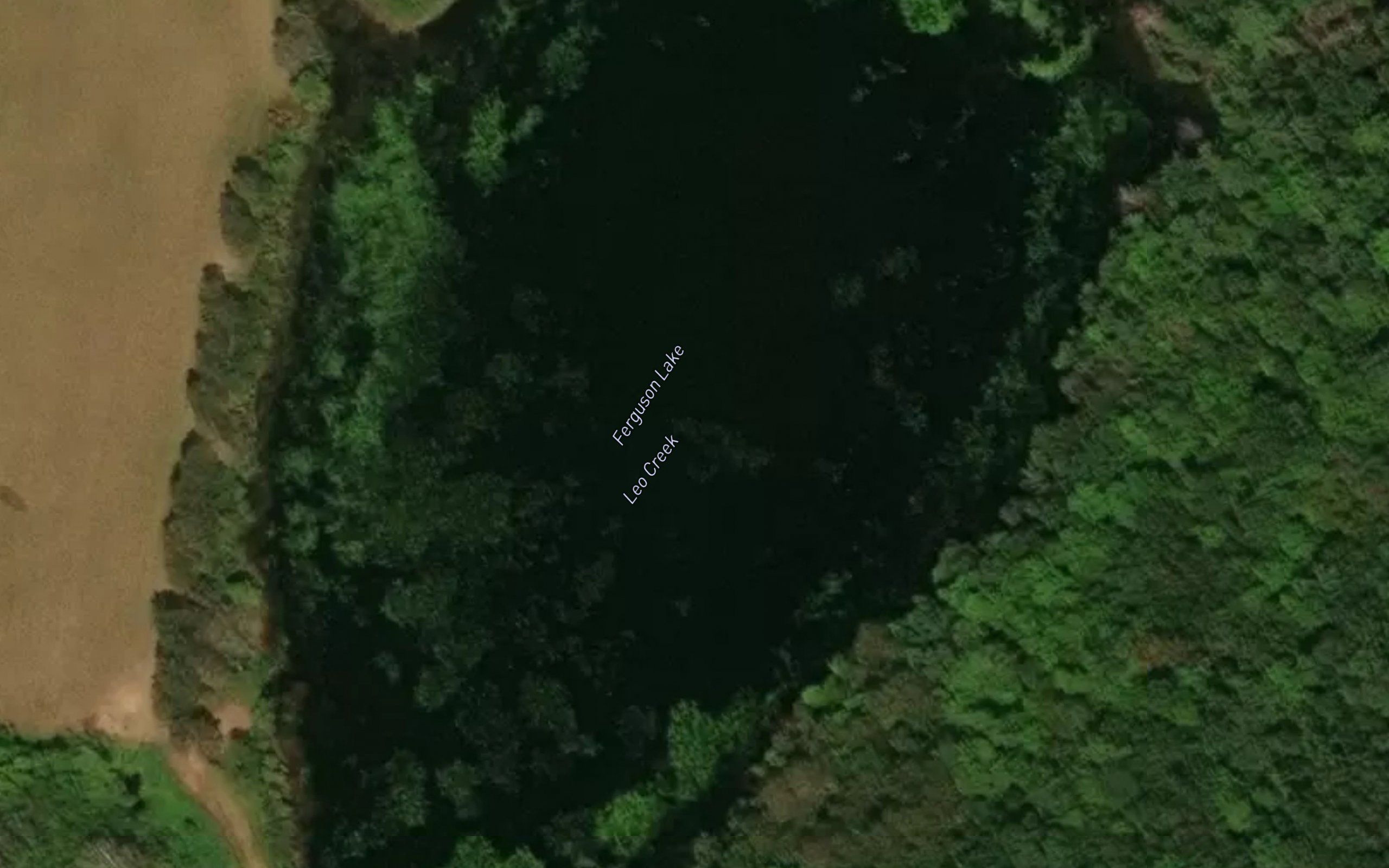 Ferguson Lake