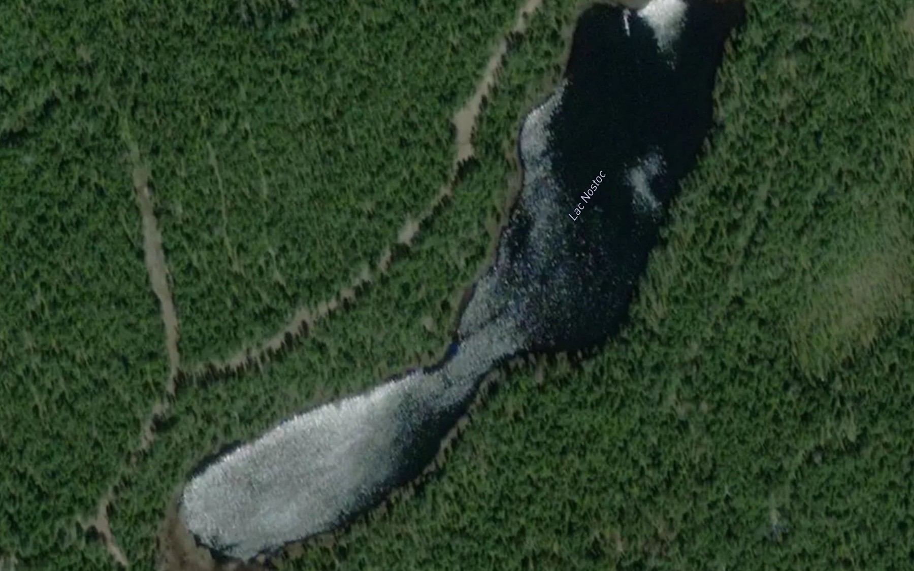 Satellite map of the Lac Nostoc