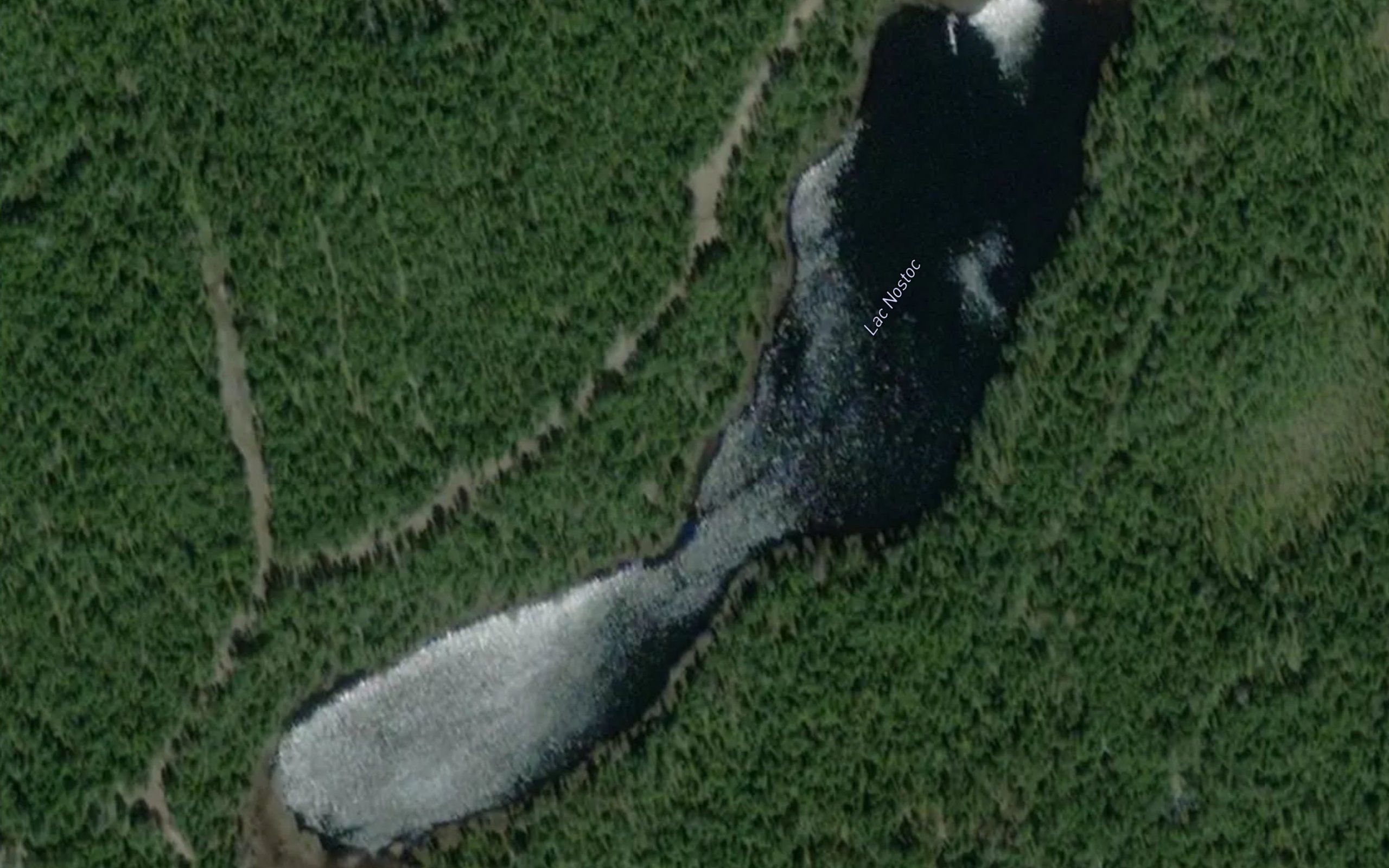 Lac Nostoc