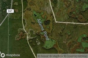 Adams Pond