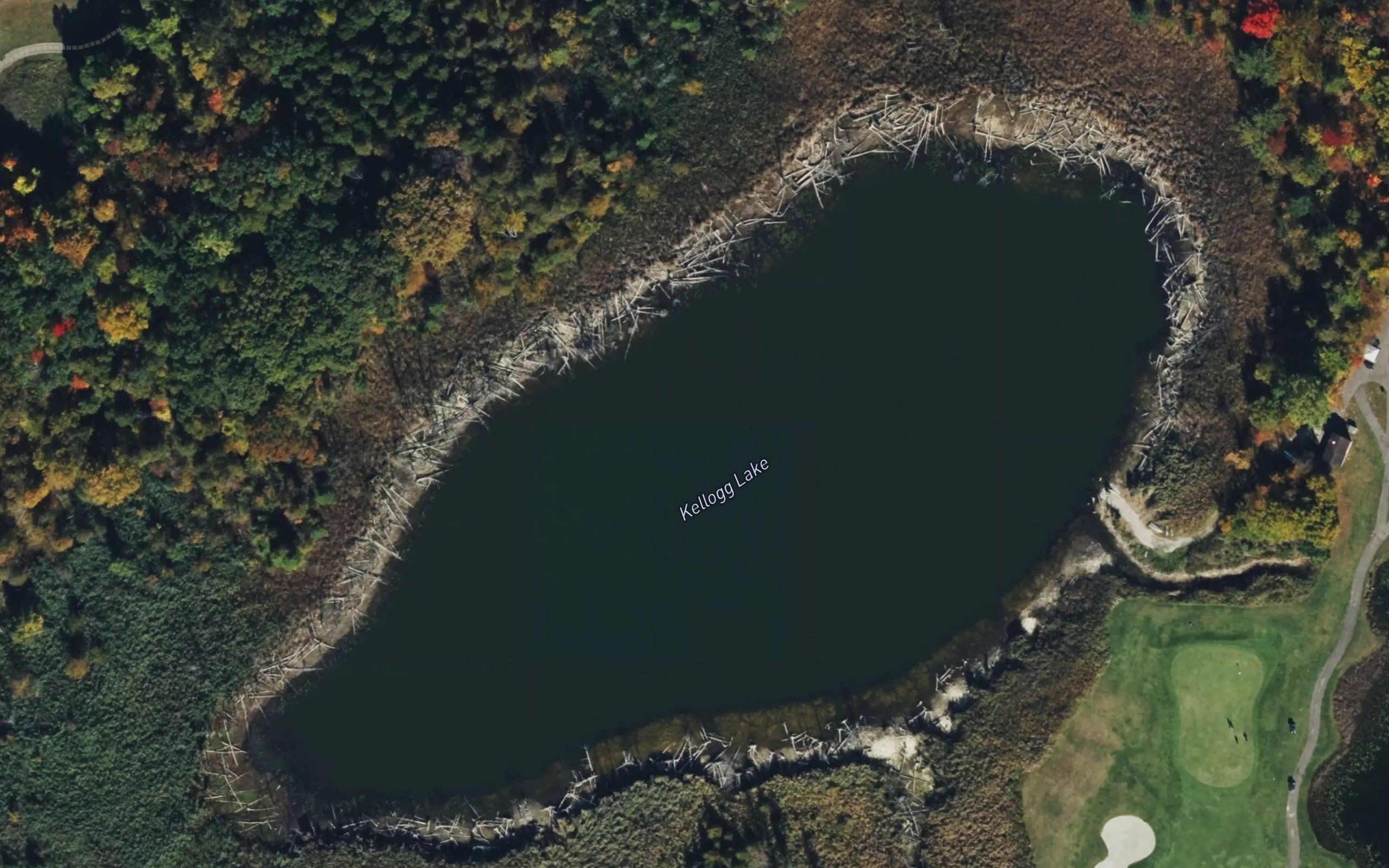 Kellogg Lake