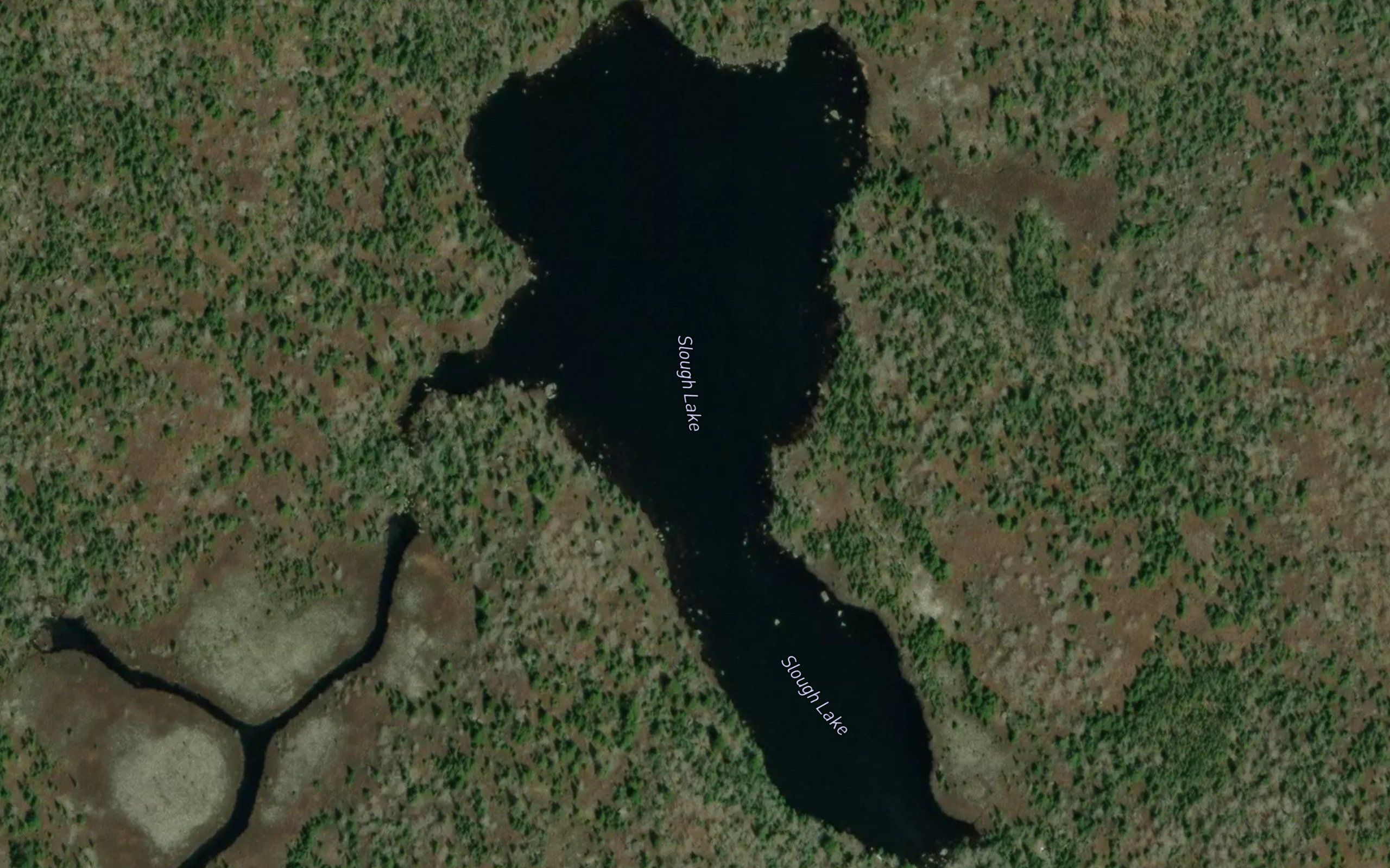 Slough Lake