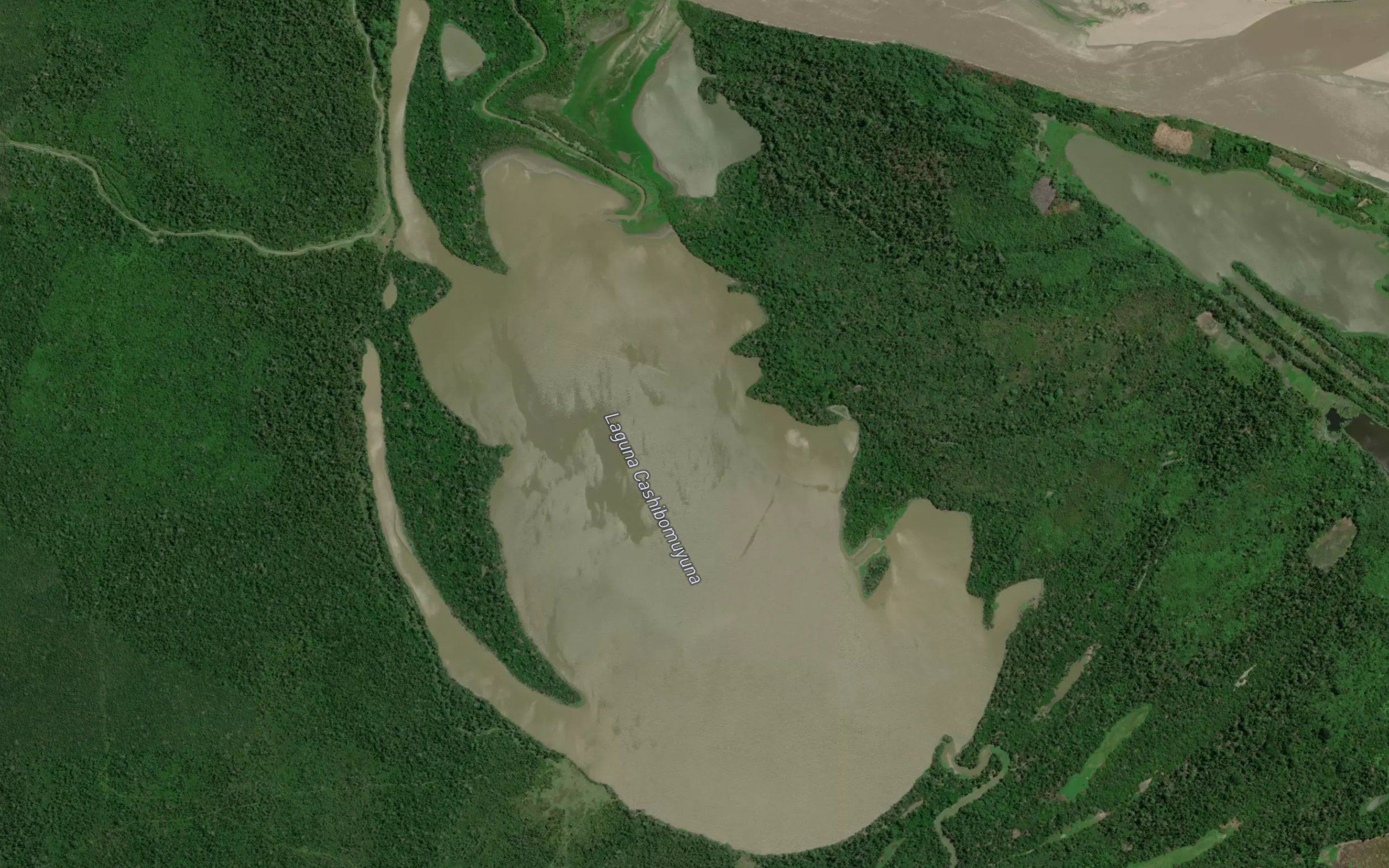 Laguna Cashibomuyuna