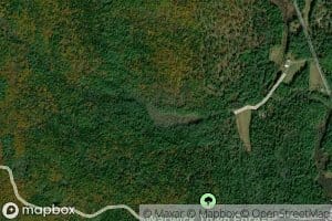 Delvas Pond (historical)