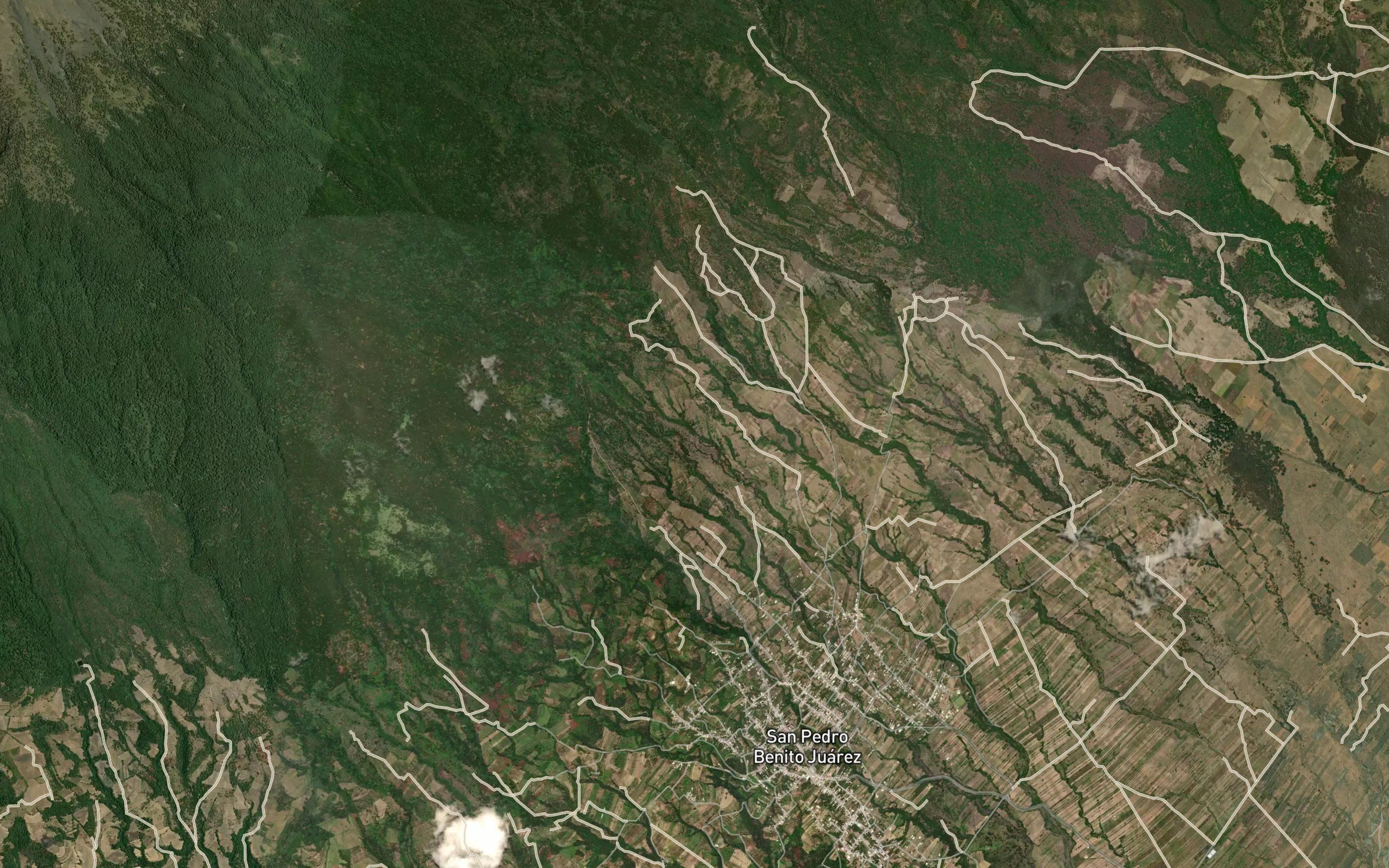 Cualacayo