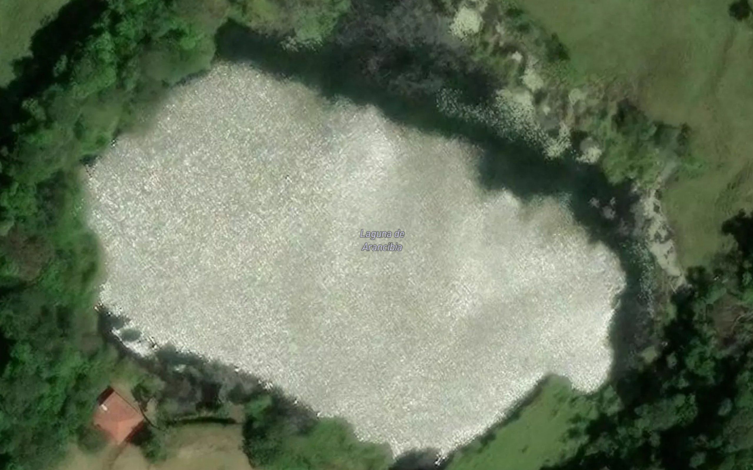 Laguna Arancibia