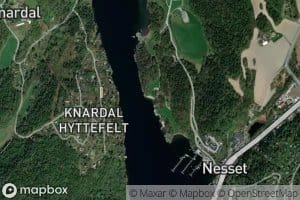 Svartlaget