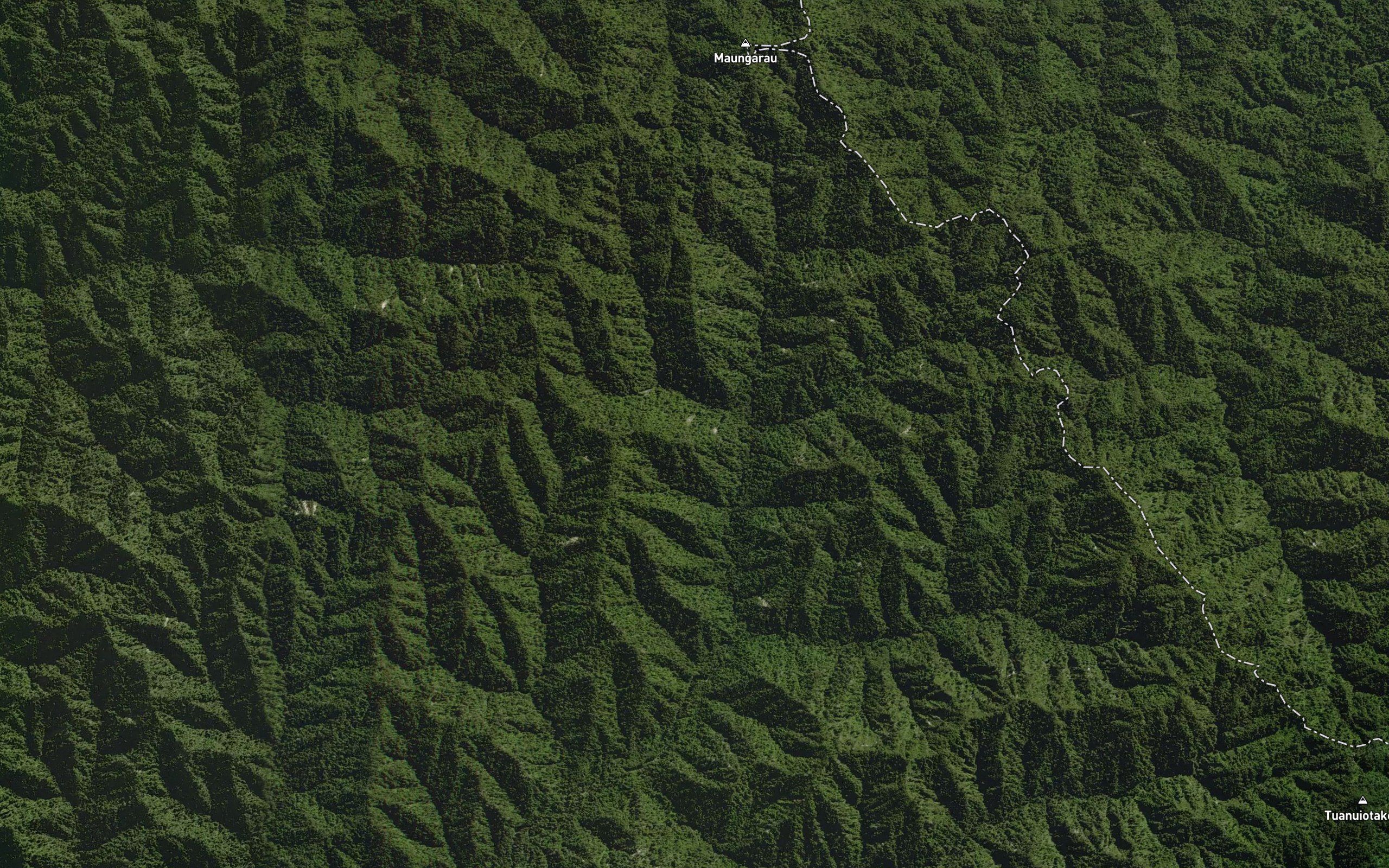Waihora Stream