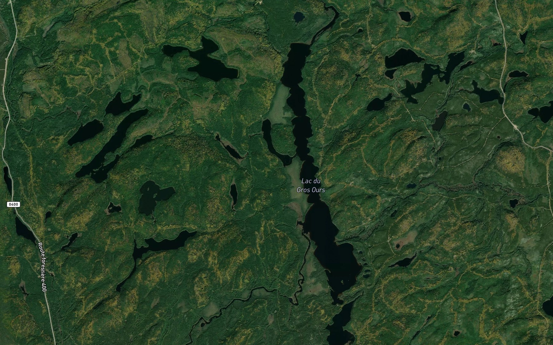 Satellite map of the Lac du Gros Ours