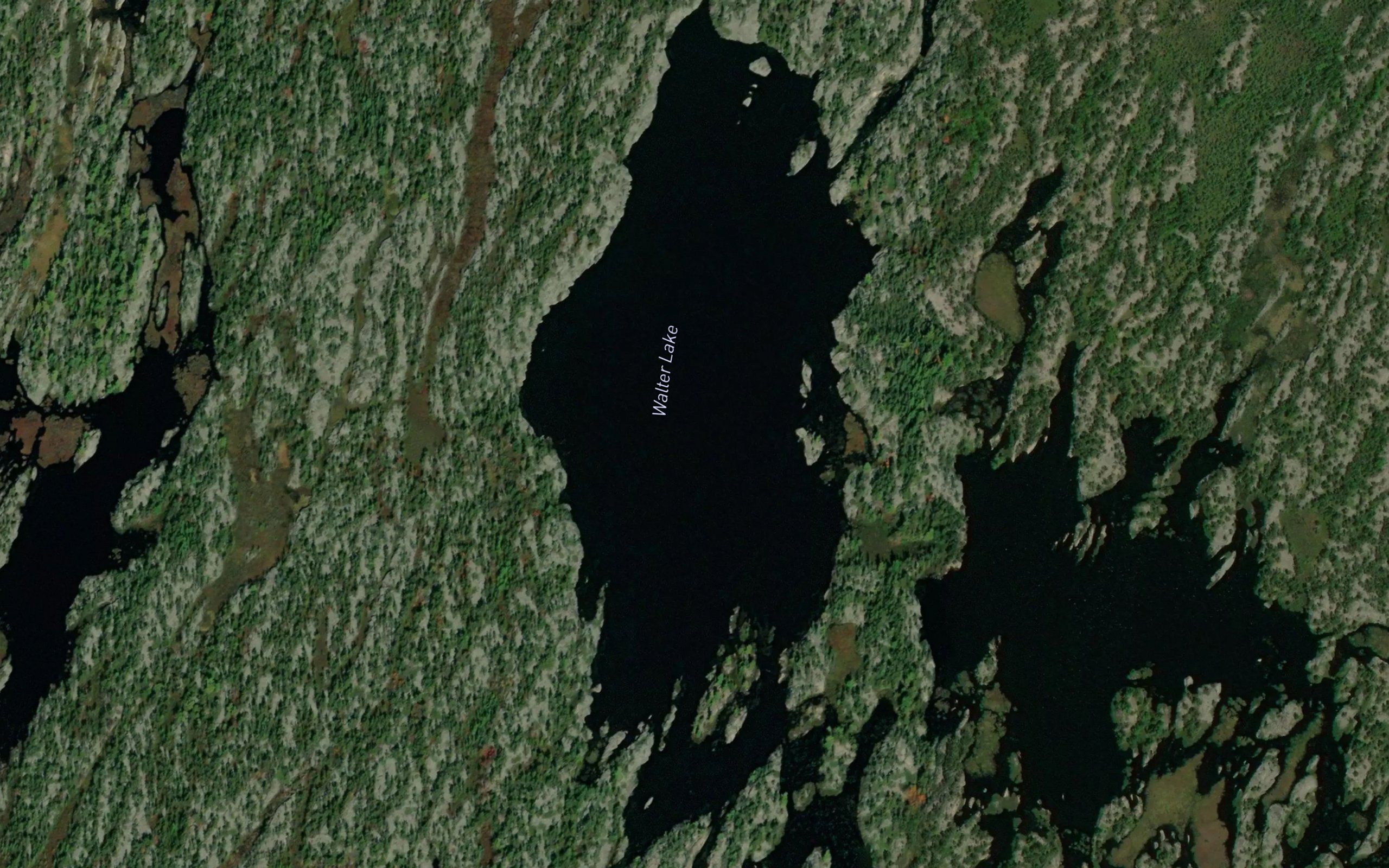 Walter Lake