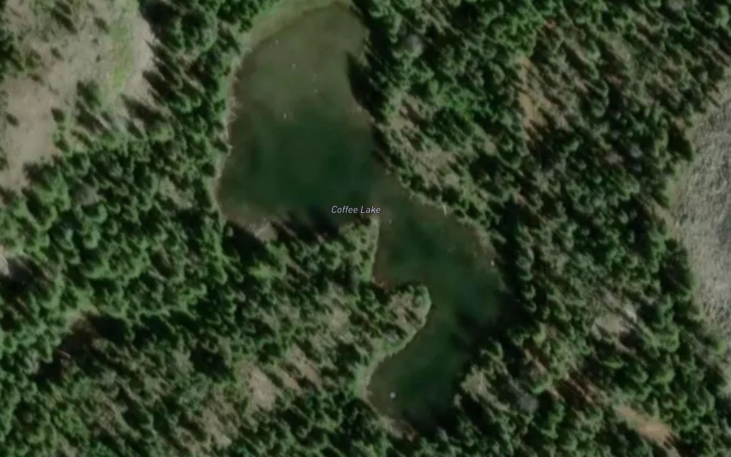 Coffee Lake