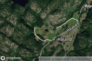 Havetjonn