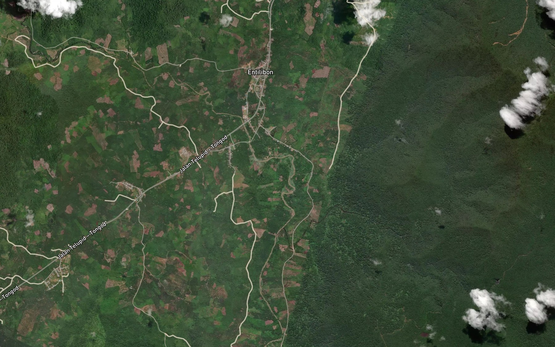 Satellite map of the Sungai Meliau