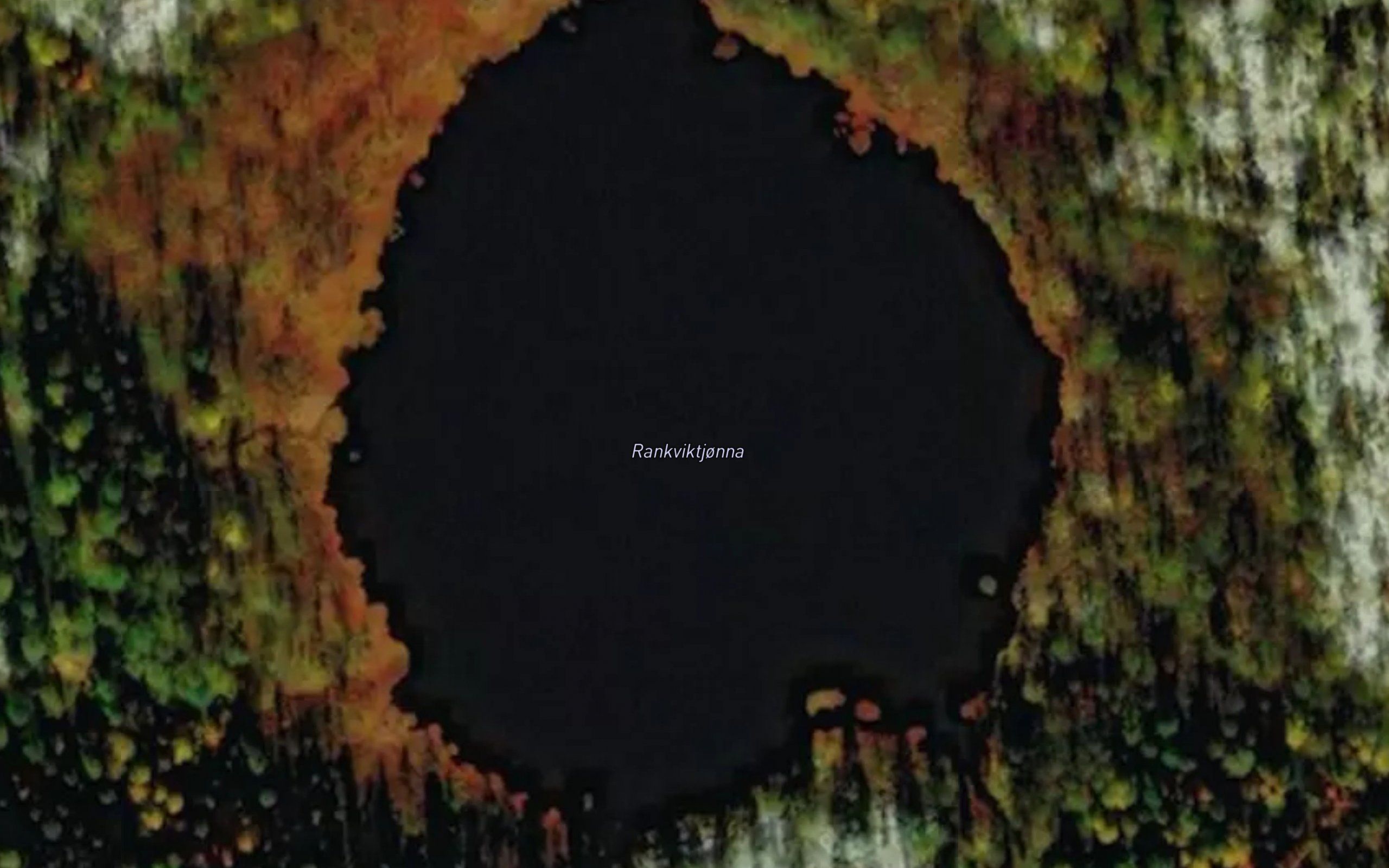 Rankviktjorna
