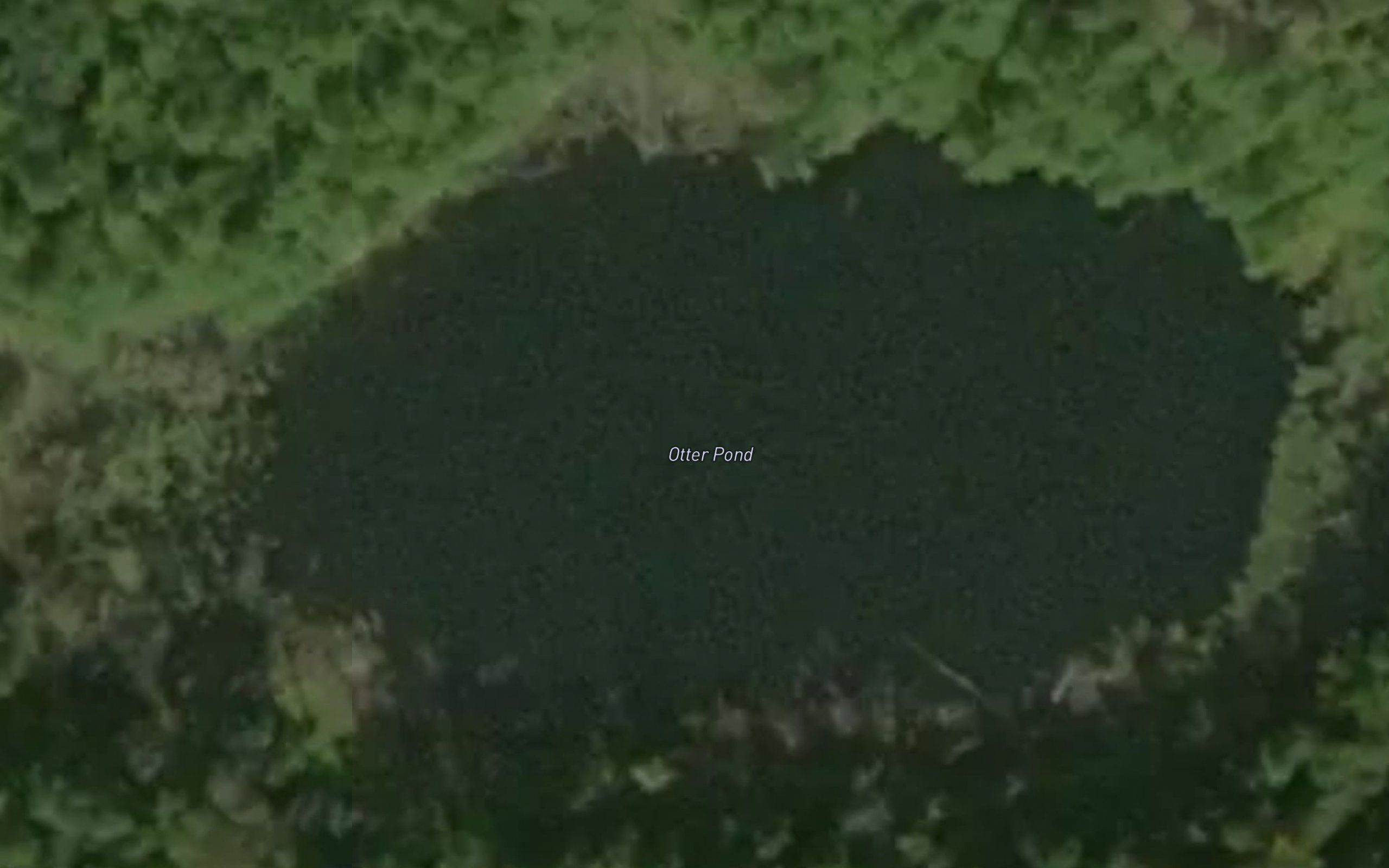 Otter Pond