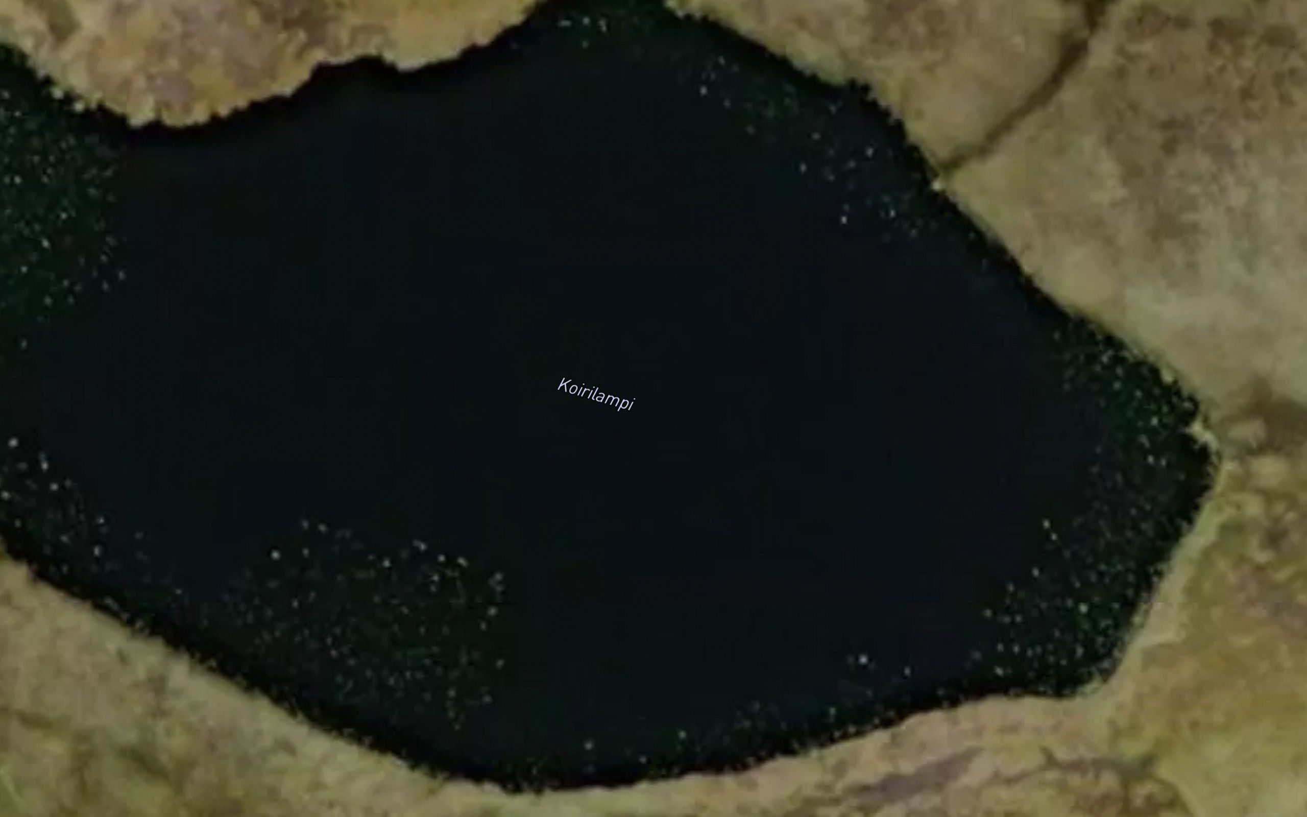 Koirilampi
