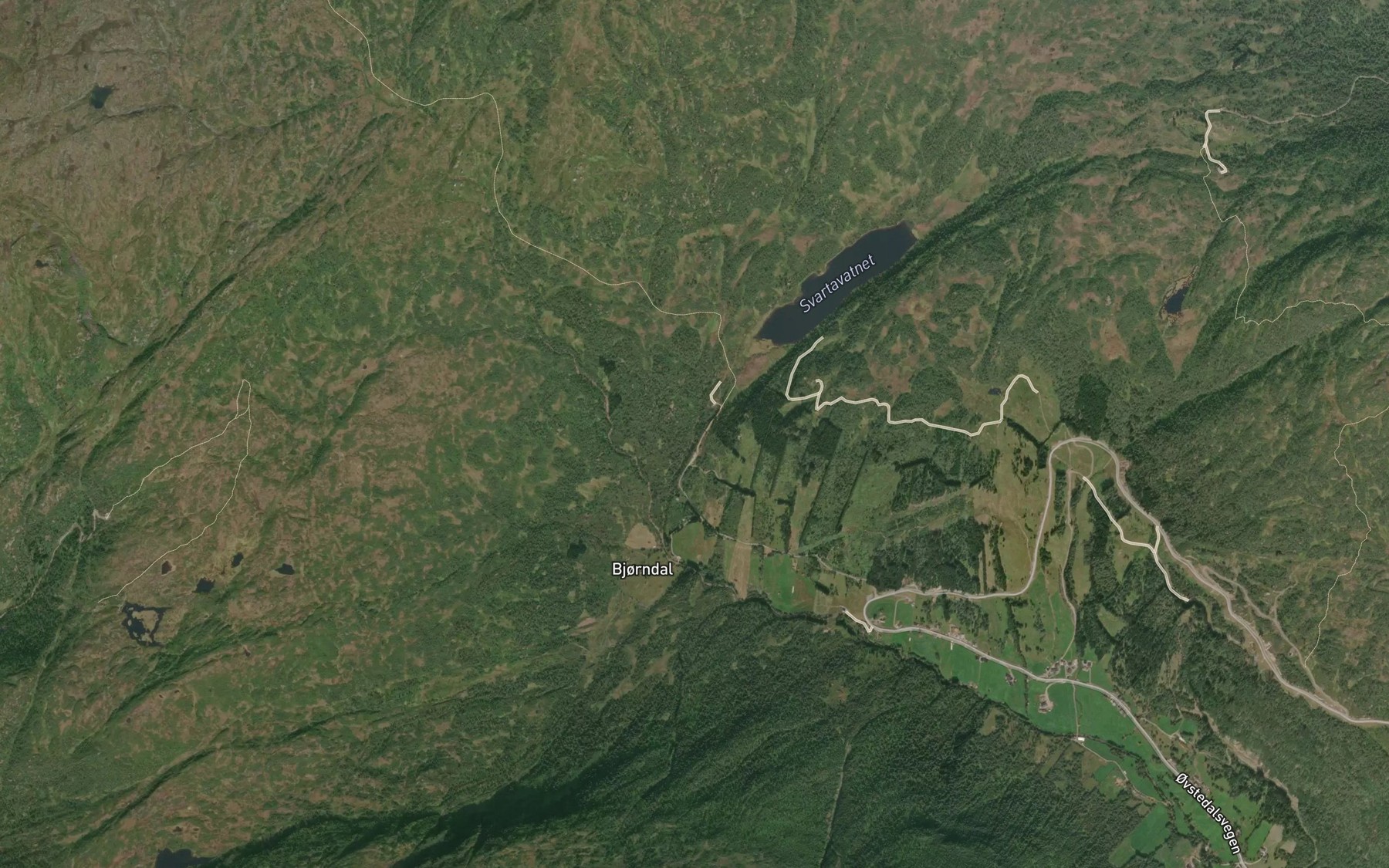 Satellite map of the Svartevassgrovi