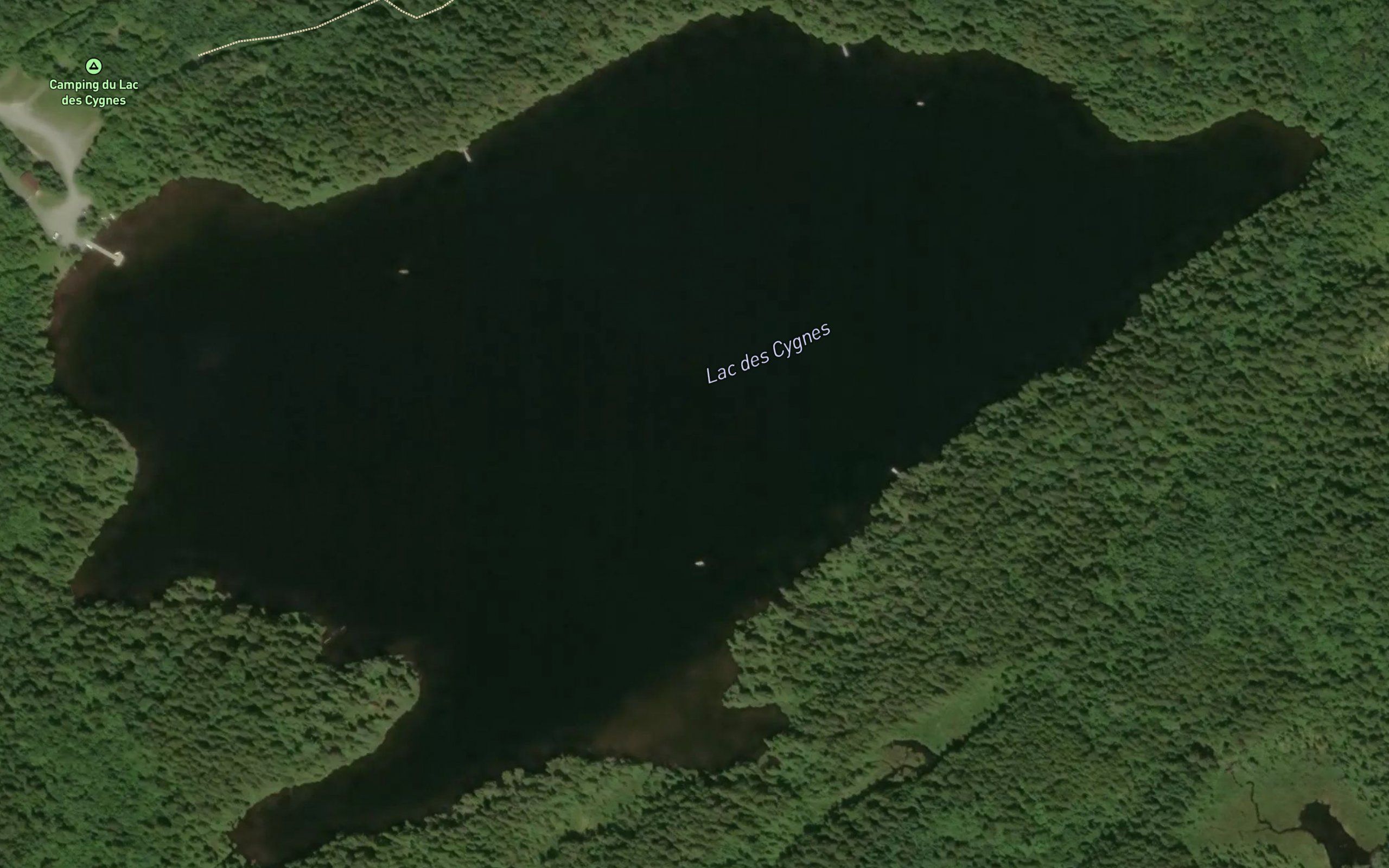 Lac des Cygnes