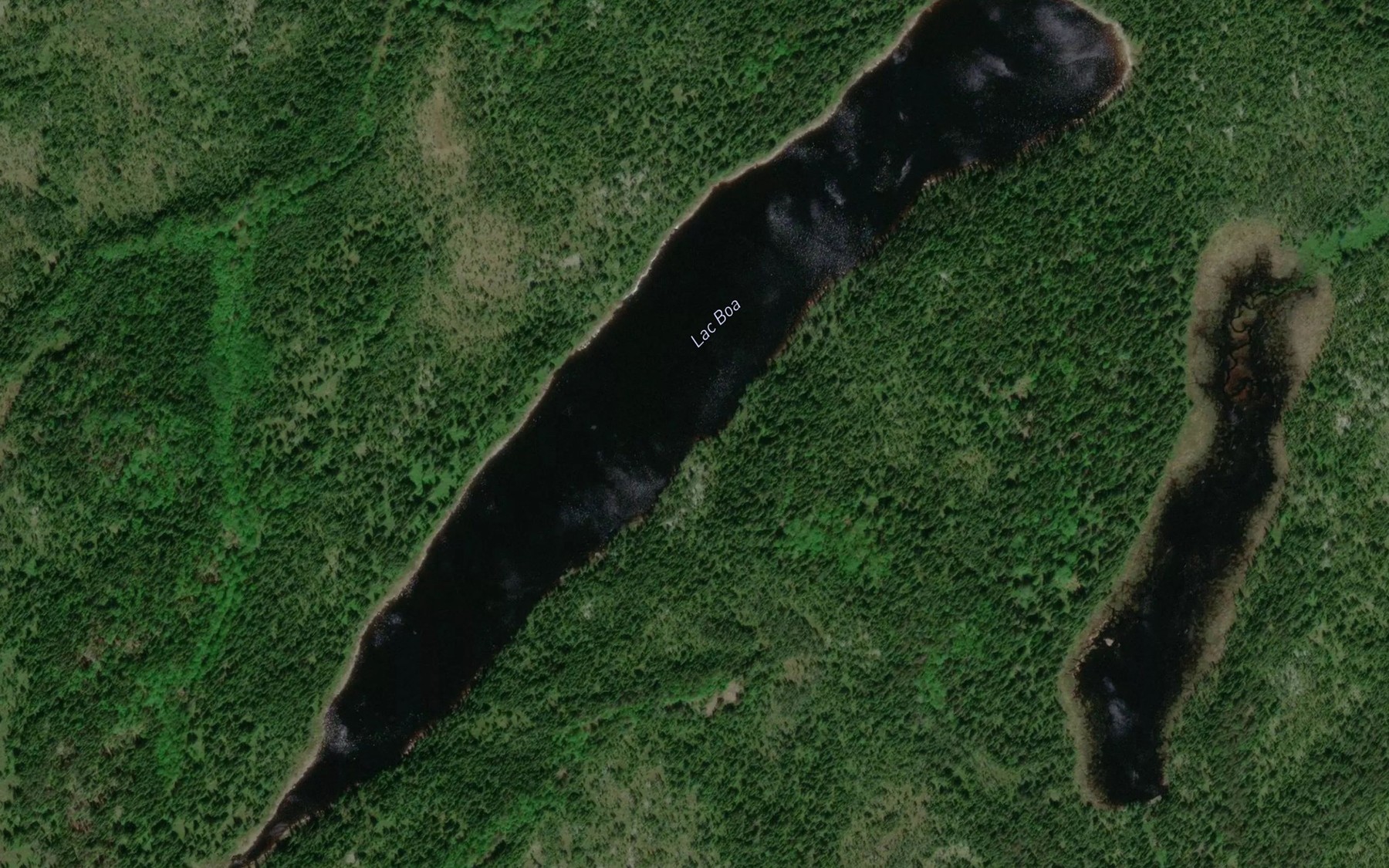 Satellite map of the Lac Boa
