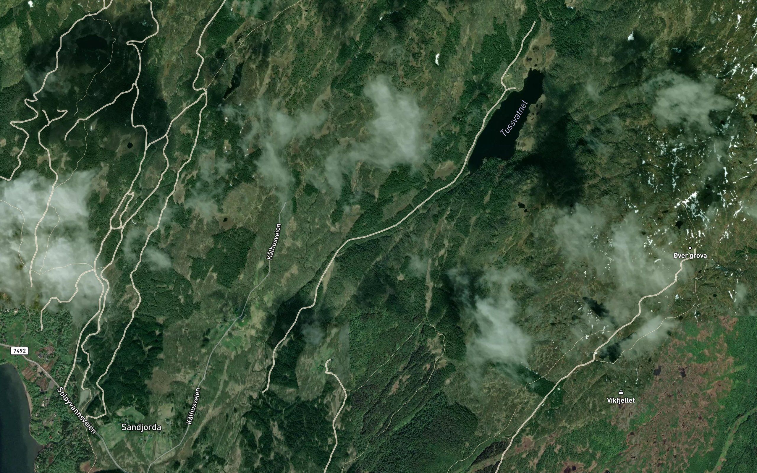 Tussvasselva
