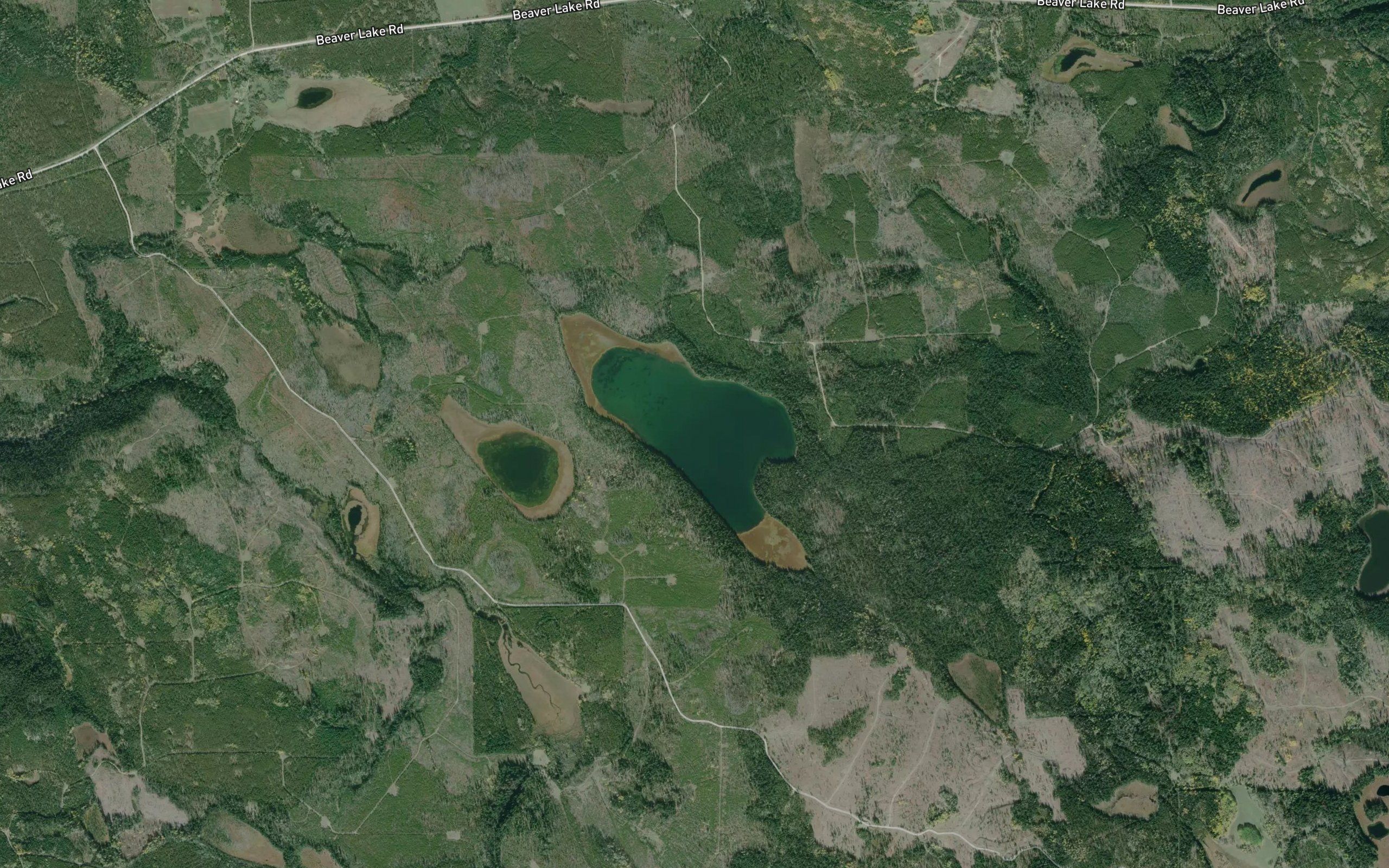 Kestrel Lake