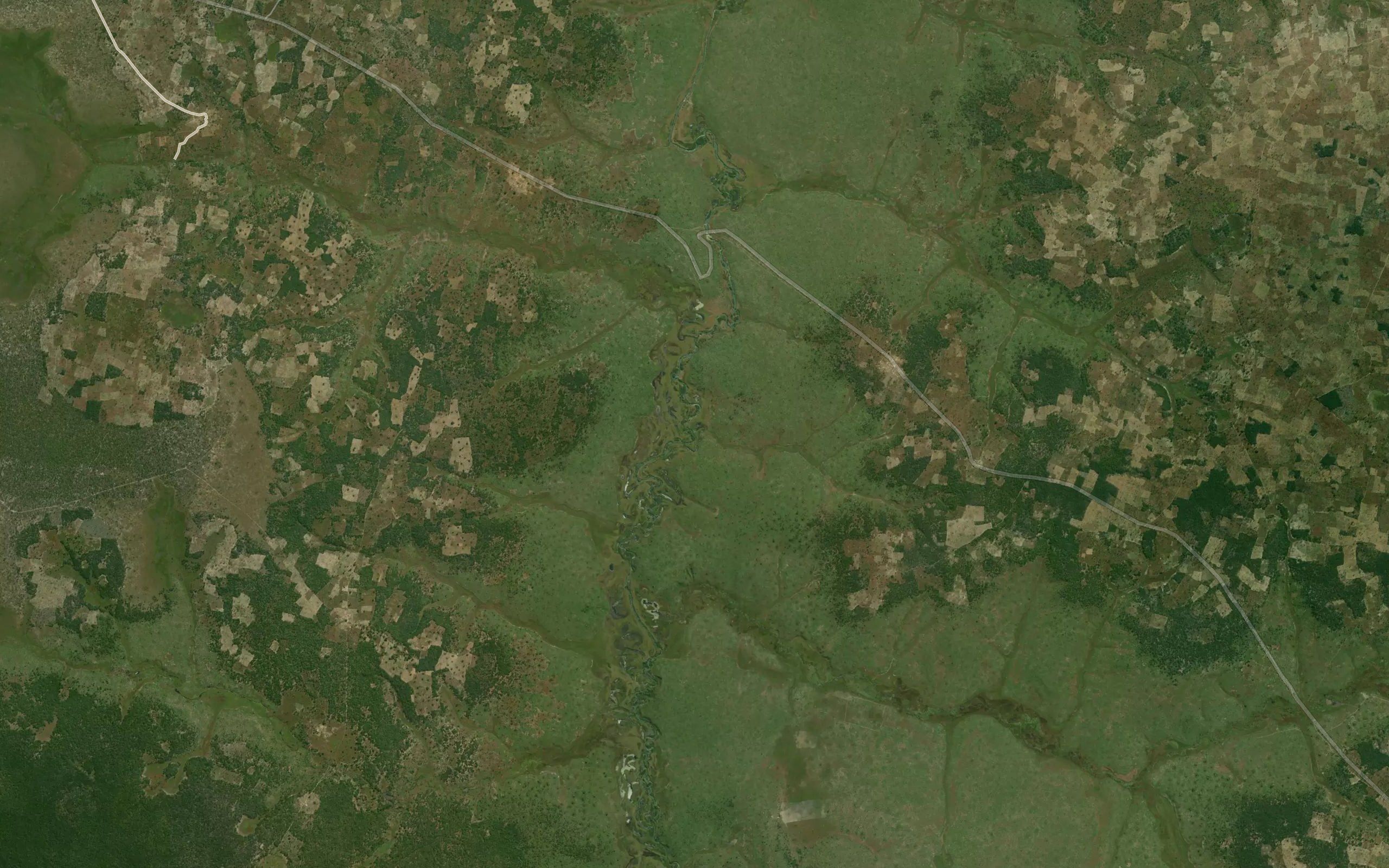Cahongo
