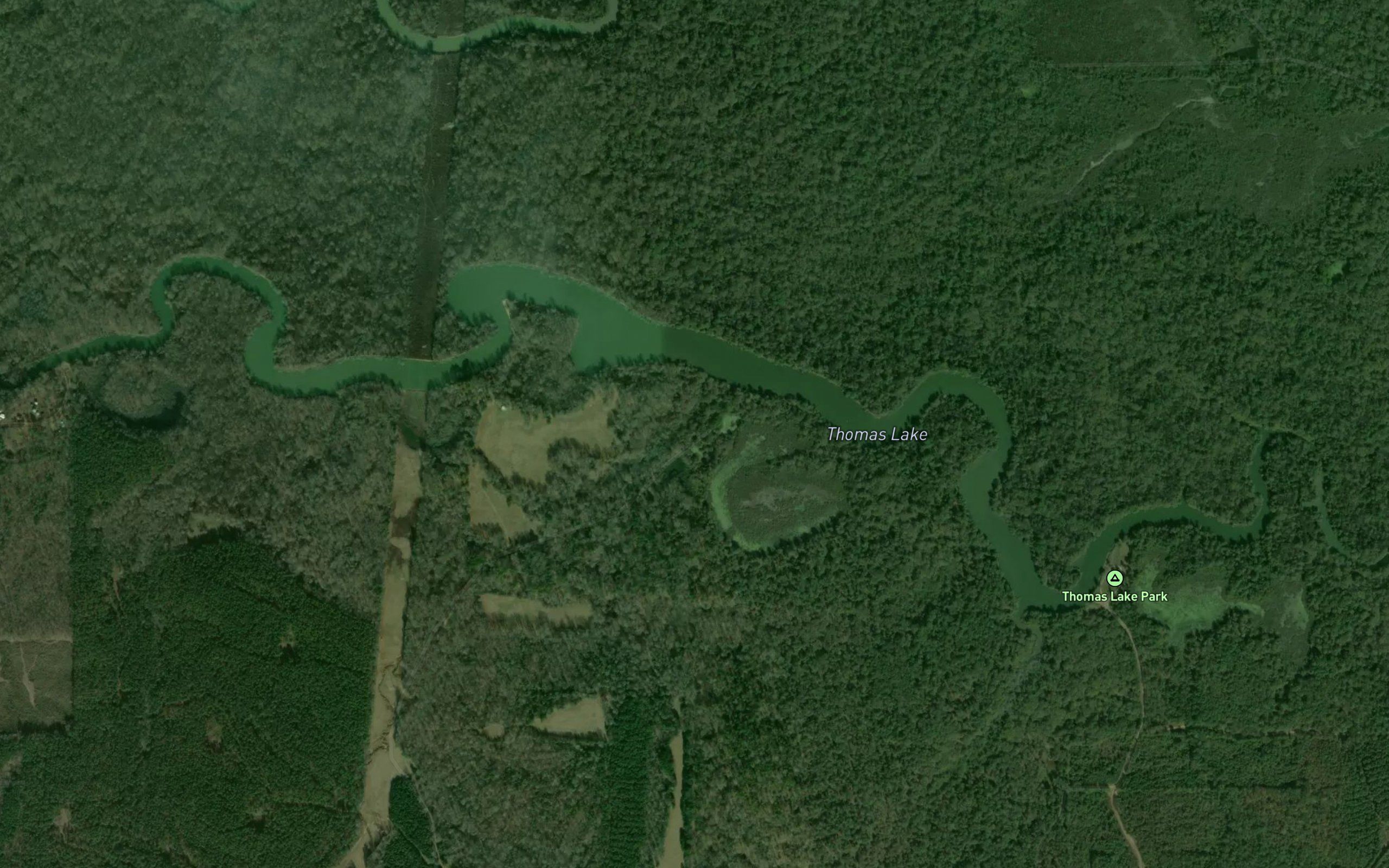 Thomas Lake