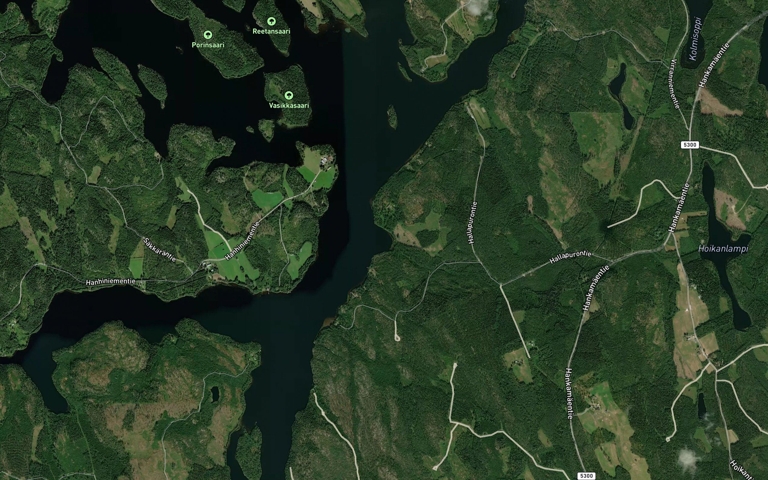 Niittylahti