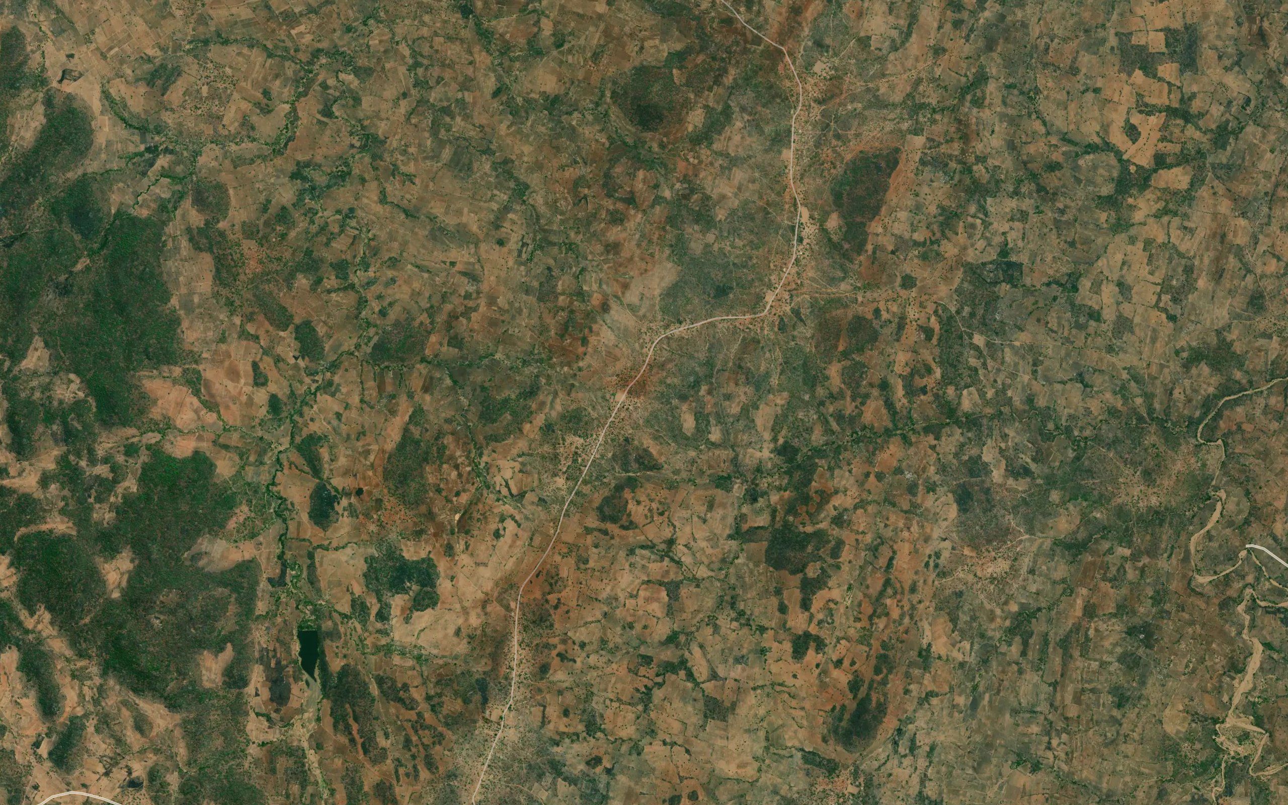 Kasengo
