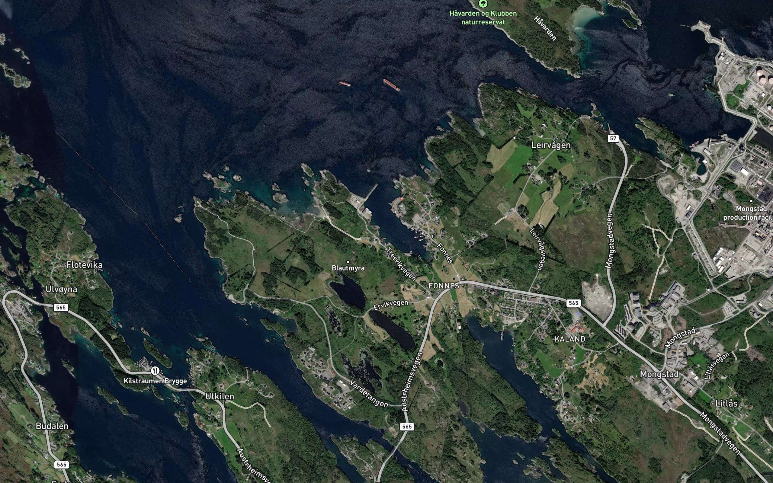 Traesvika