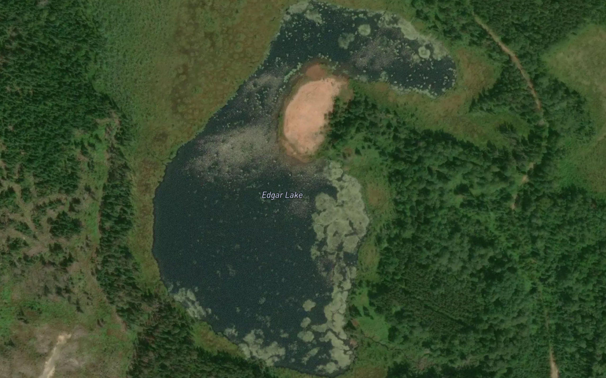Edgar Lake