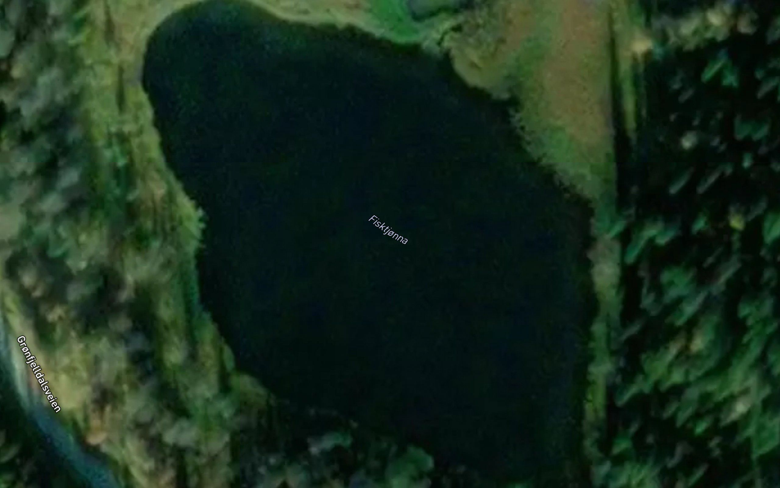 Fisktjorna