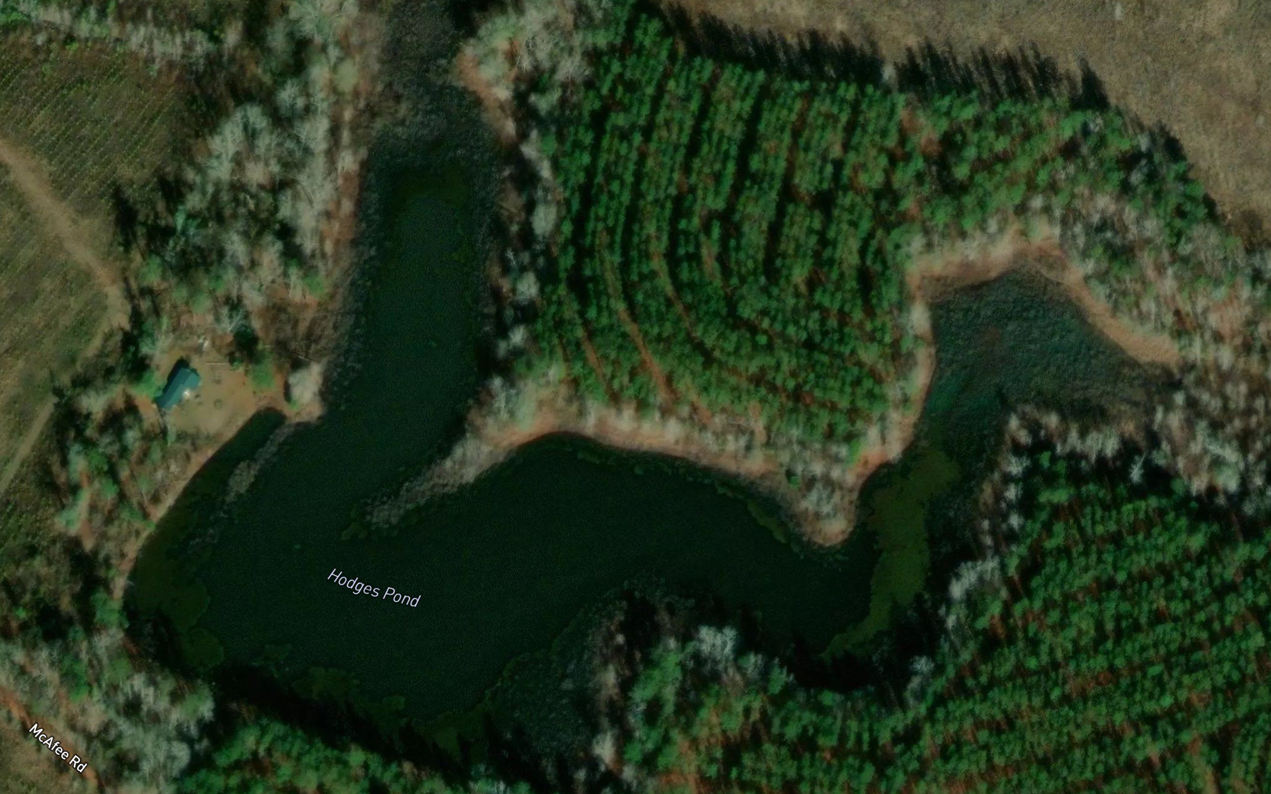 Hodges Pond