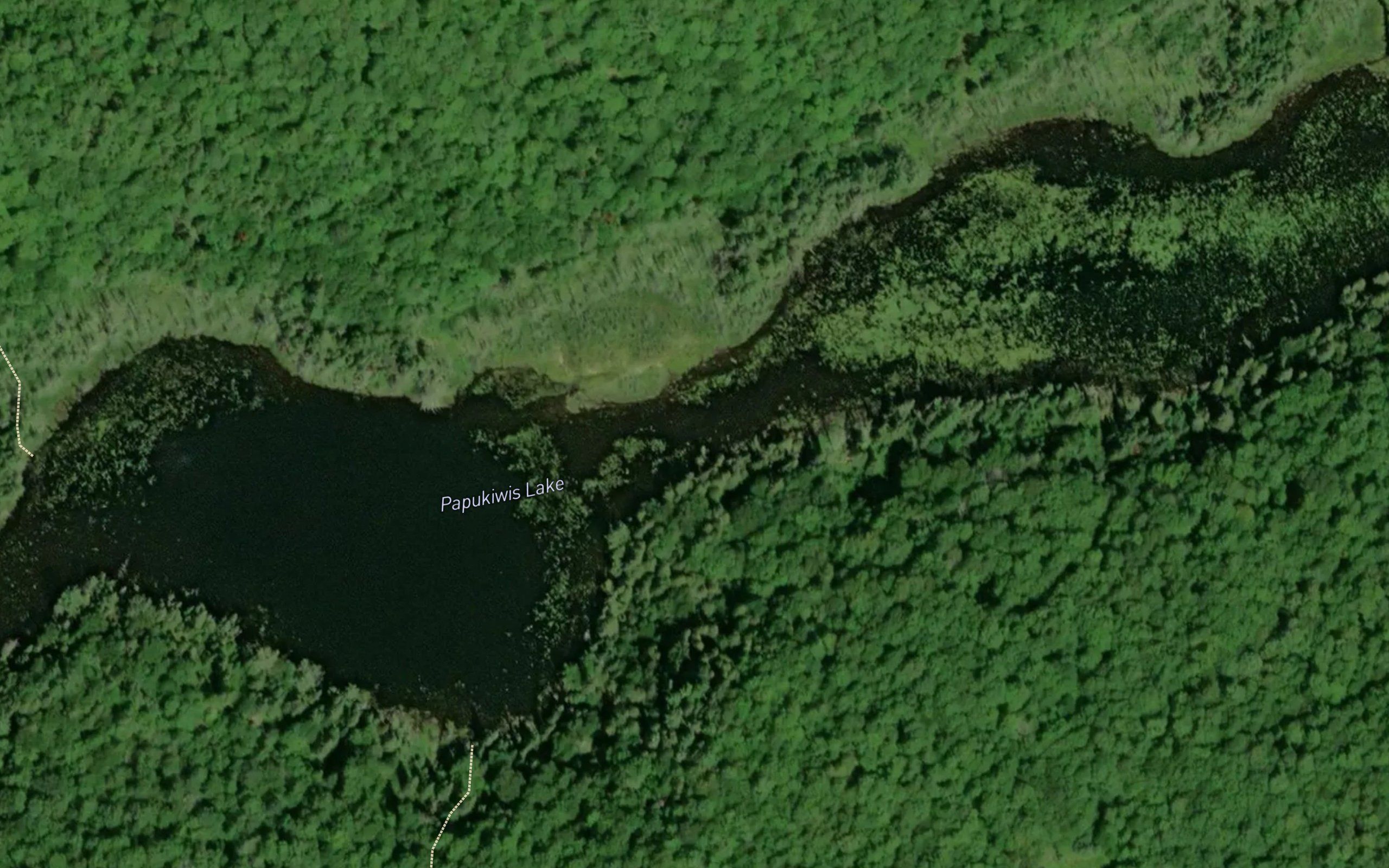 Papukiwis Lake