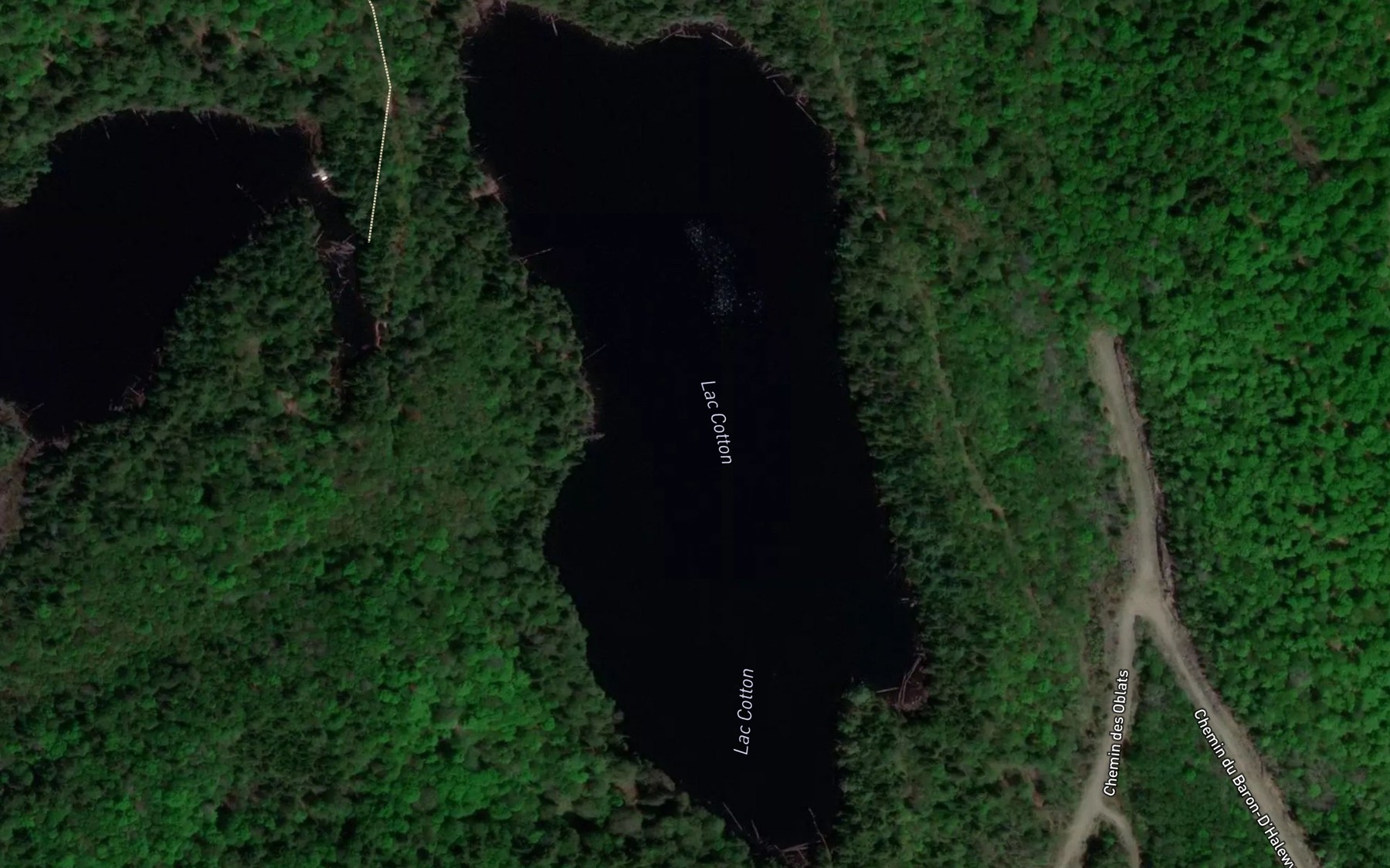 Satellite map of the Lac Cotton