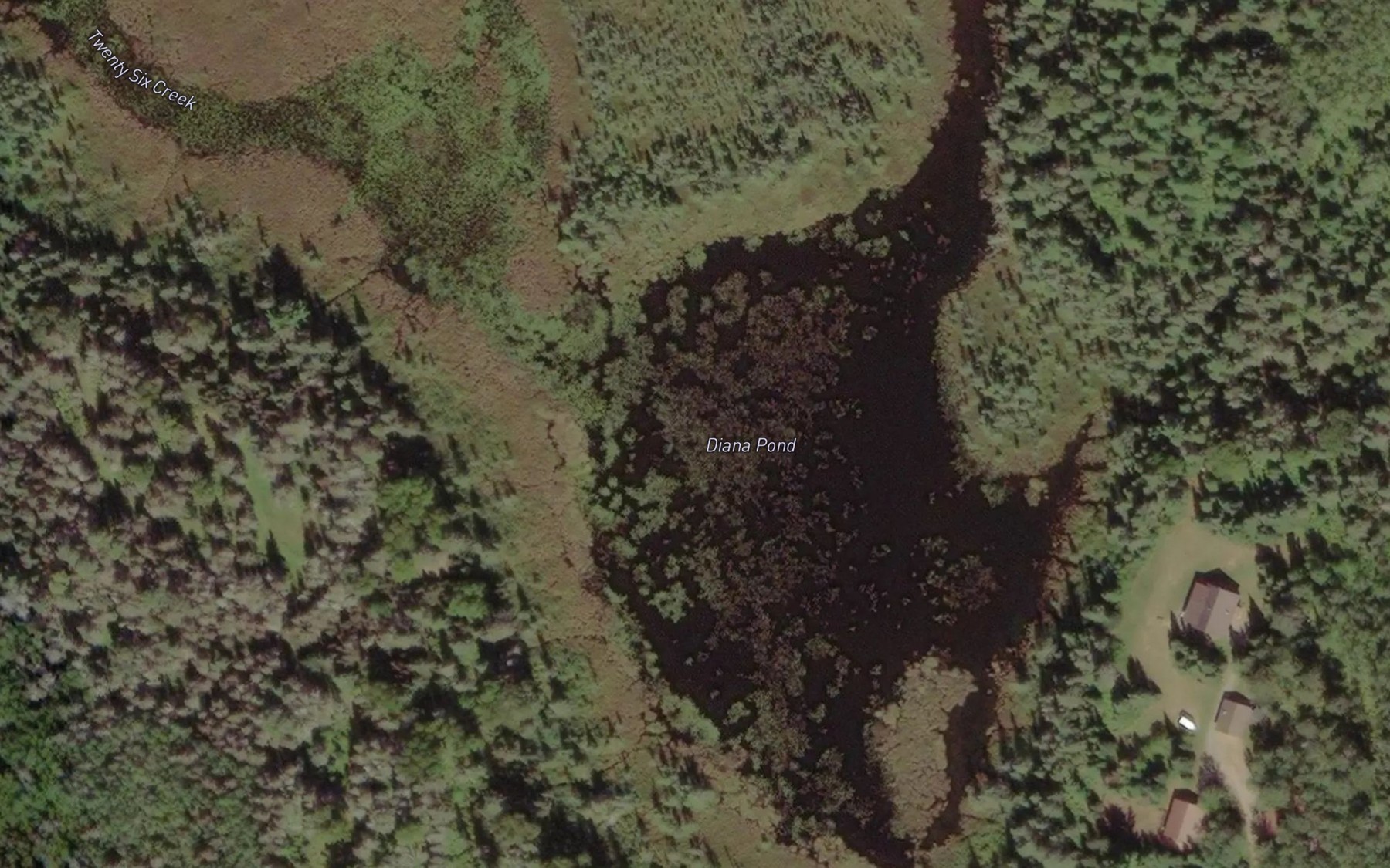 Satellite map of the Diana Pond