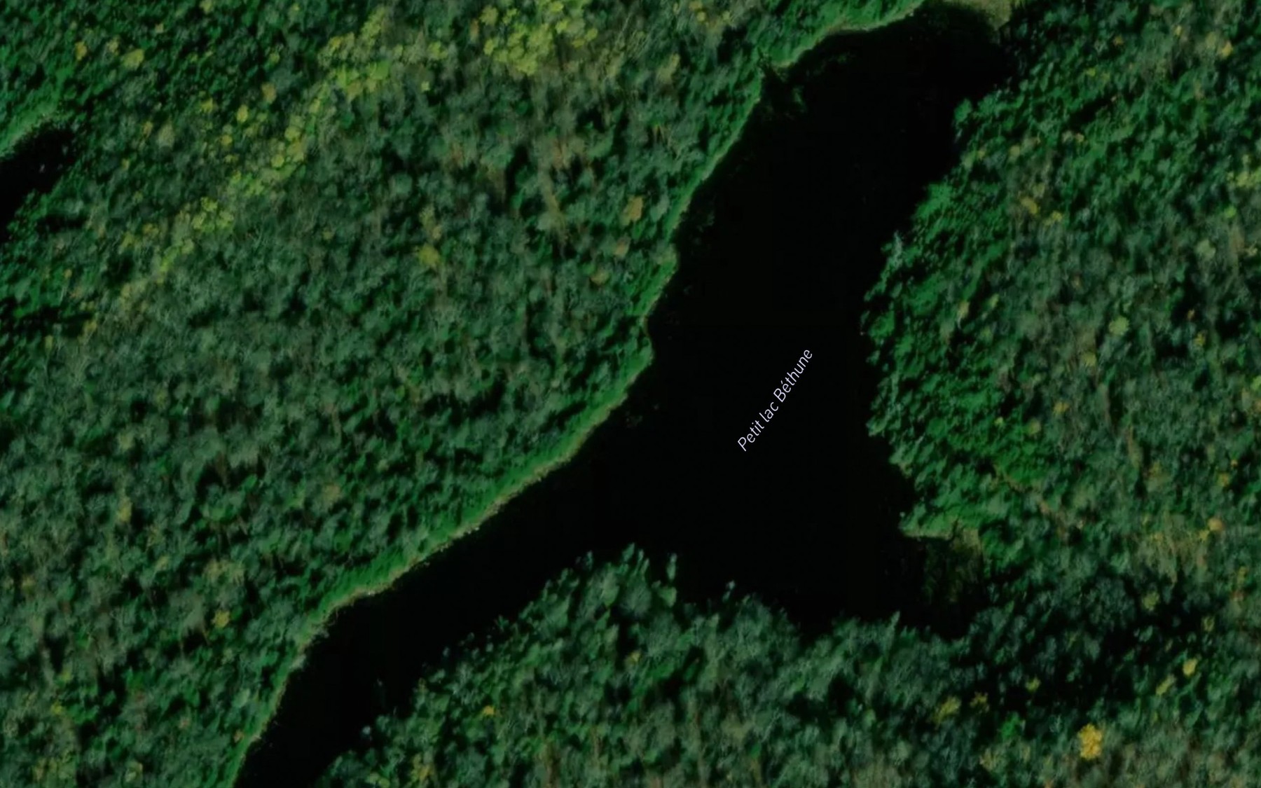 Satellite map of the Petit lac Bethune