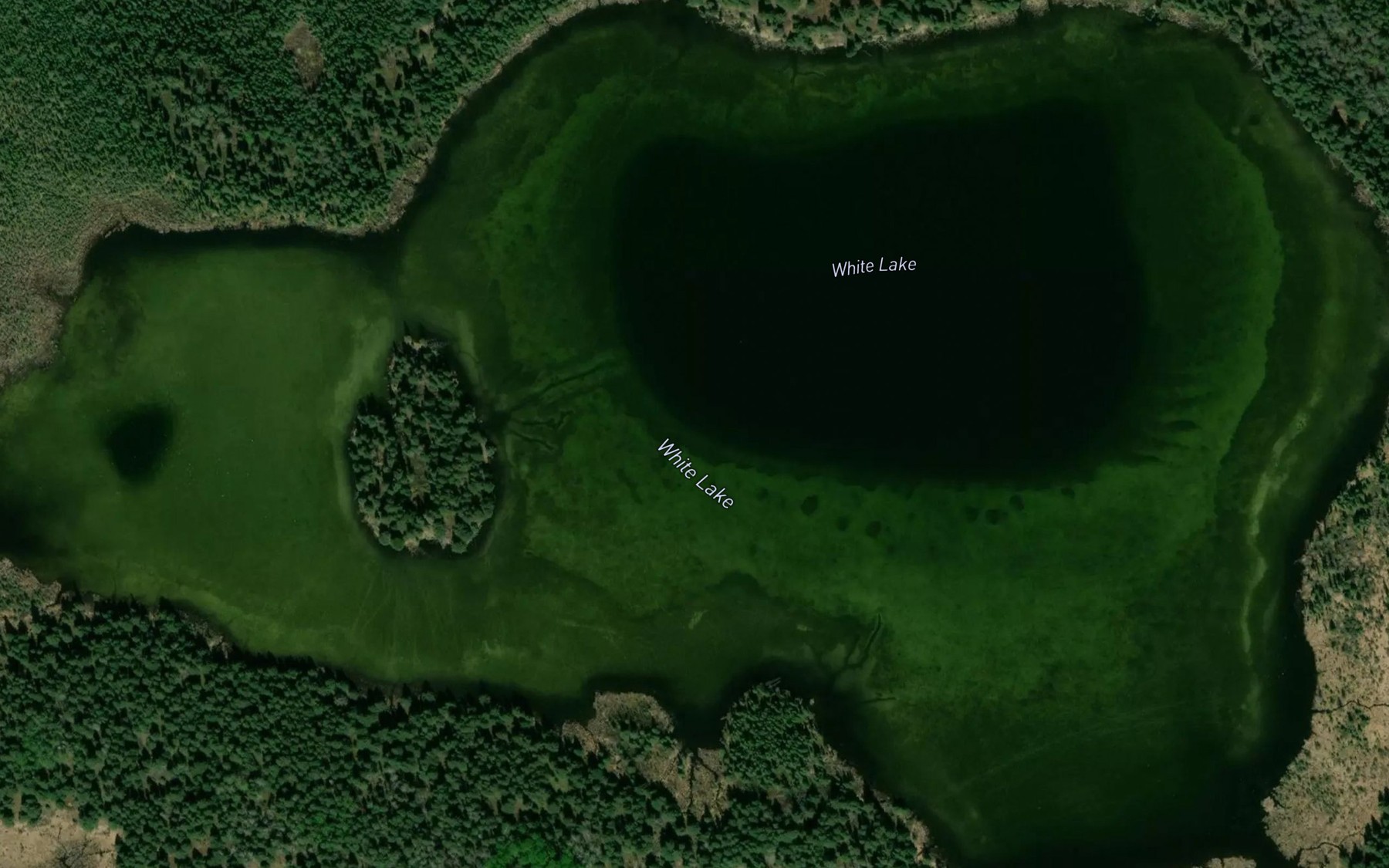 Satellite map of the White Lake